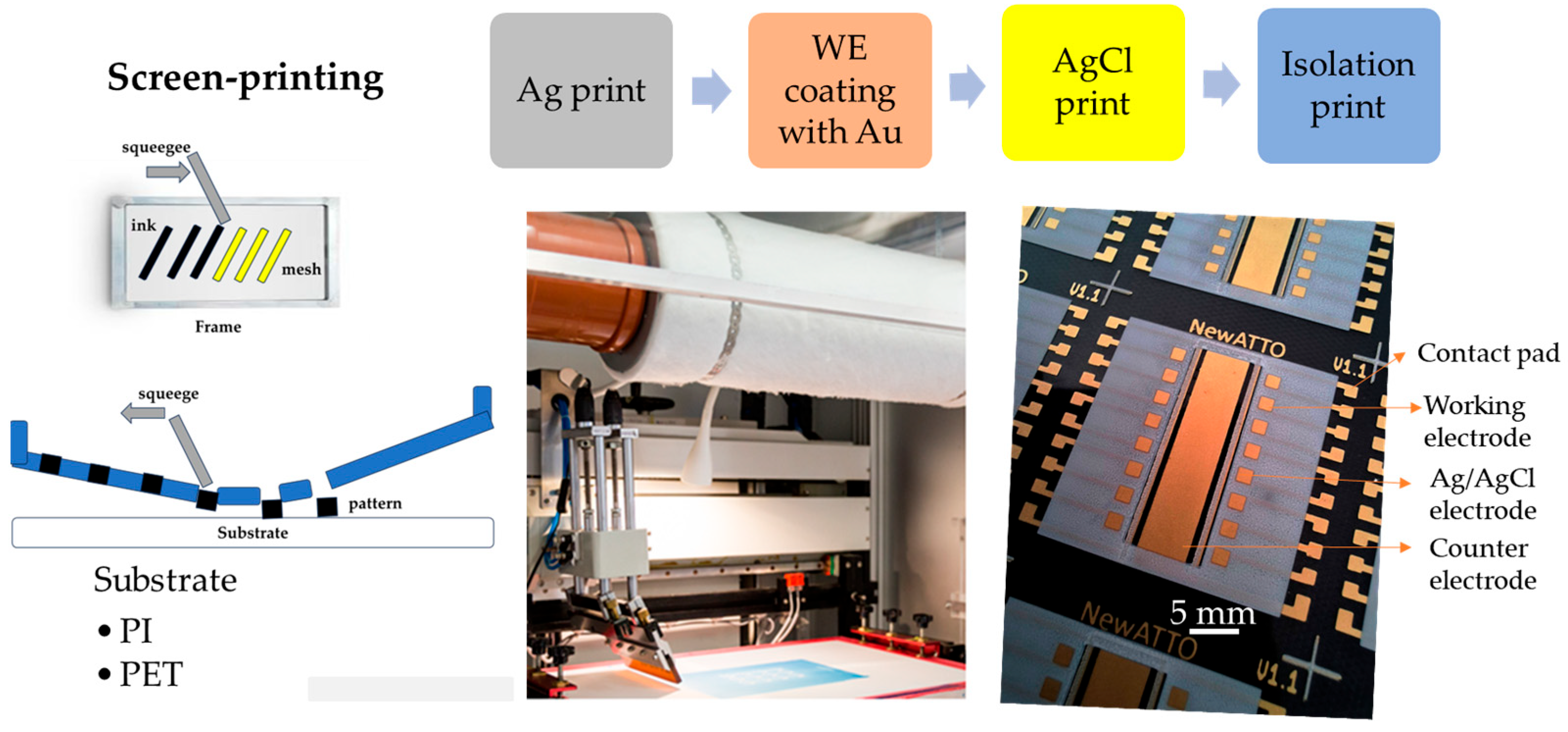 Sensors 25 03959 g001