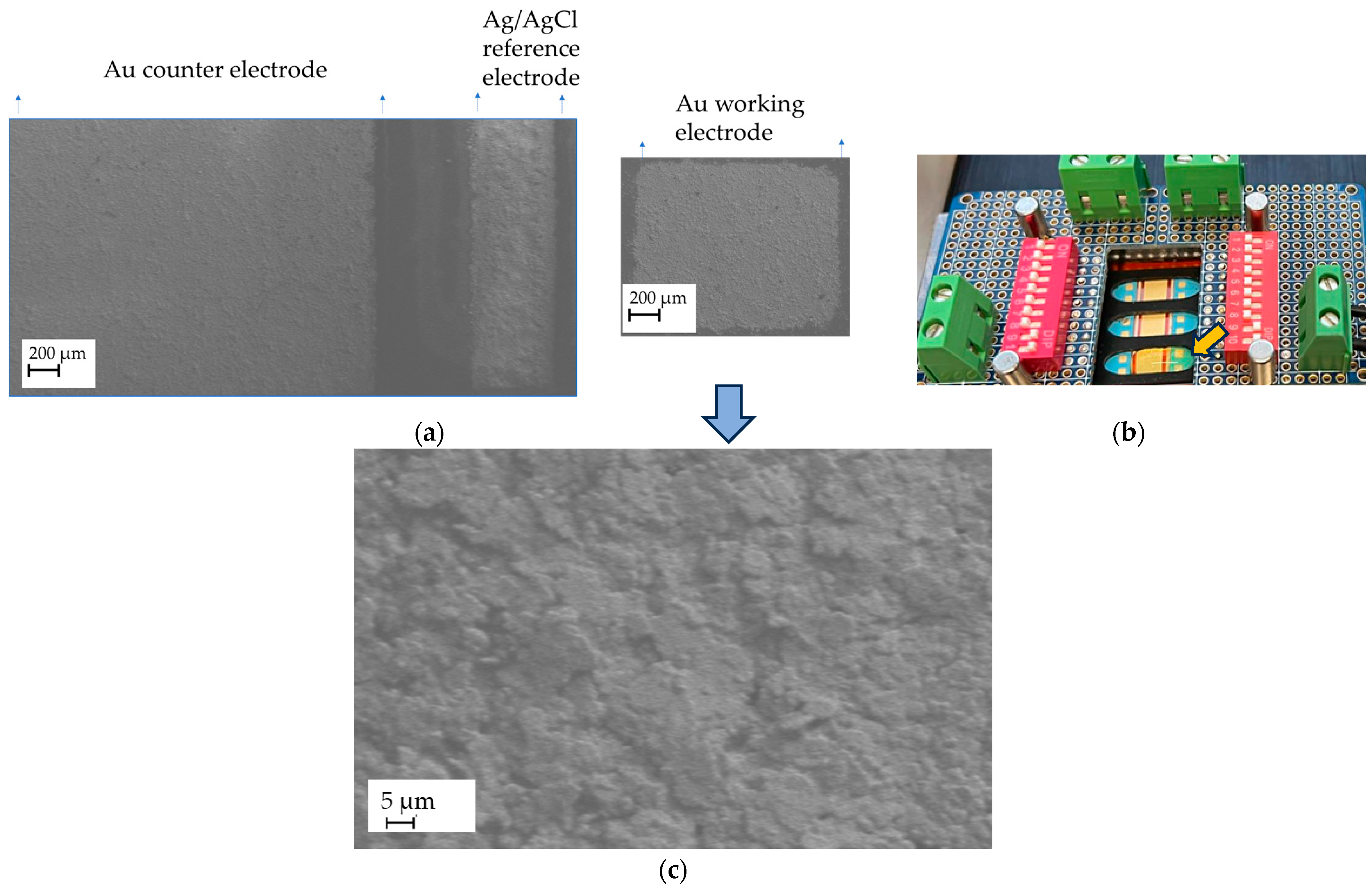 Sensors 25 03959 g004