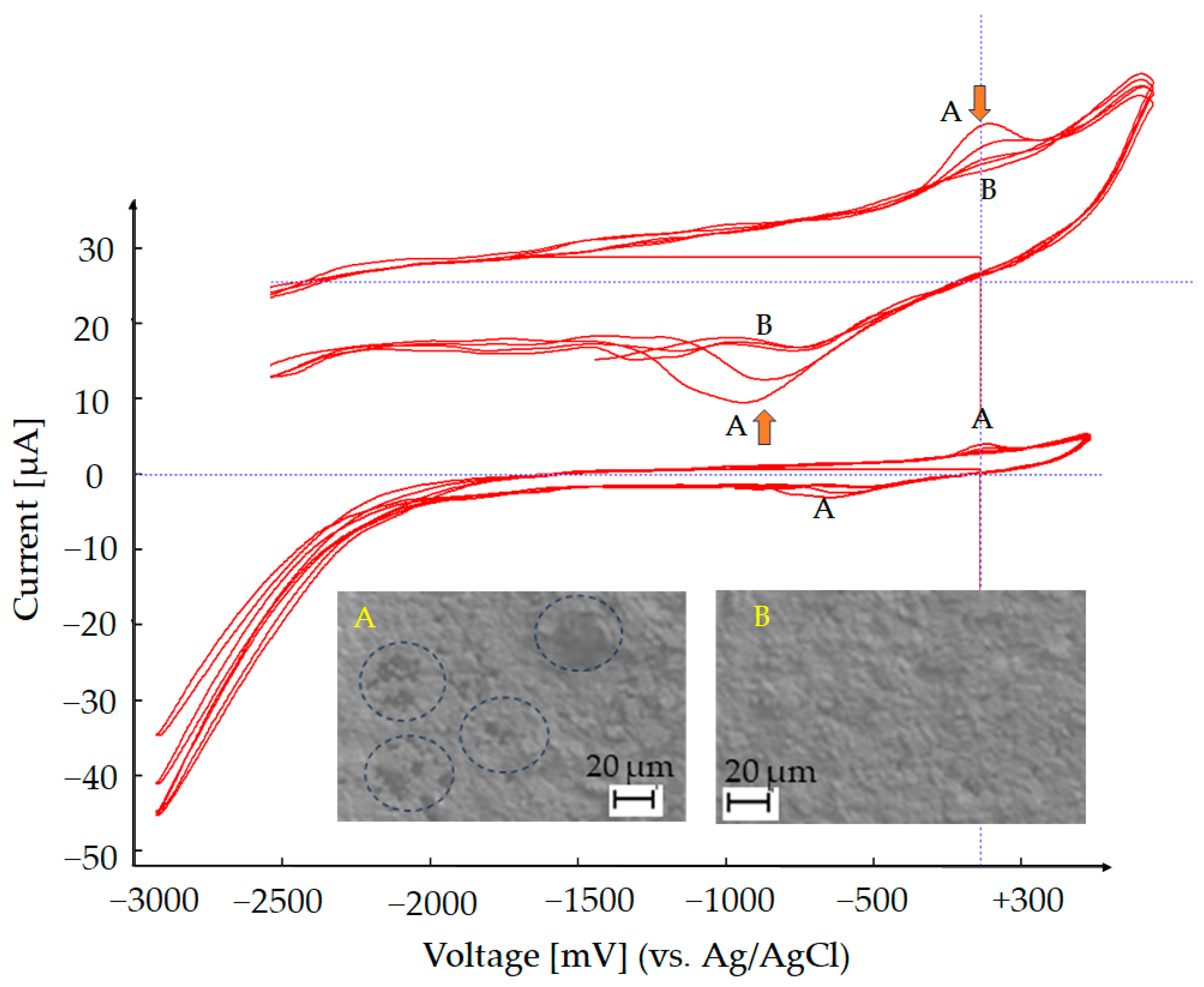 Sensors 25 03959 g005
