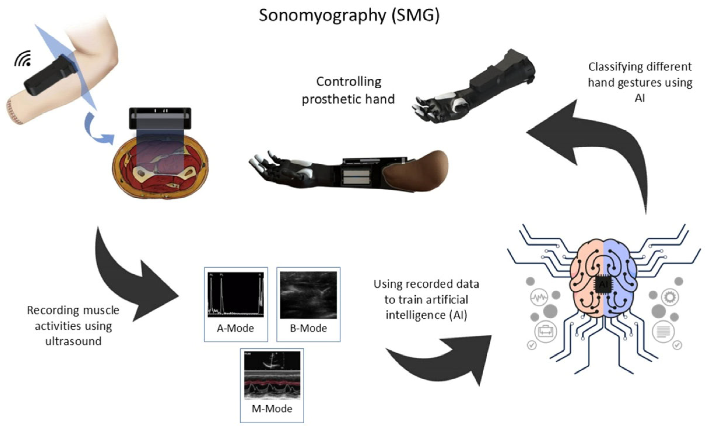 Sensors 25 03968 g001 Sensors 25 03968 g001