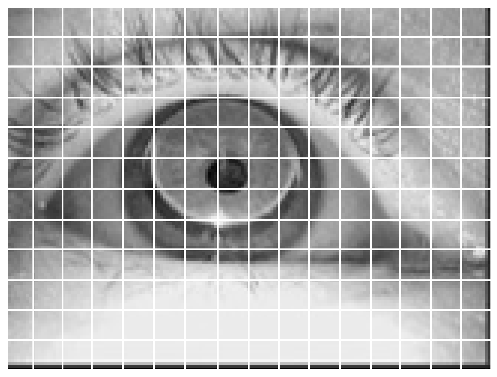 Sensors 25 03978 g001