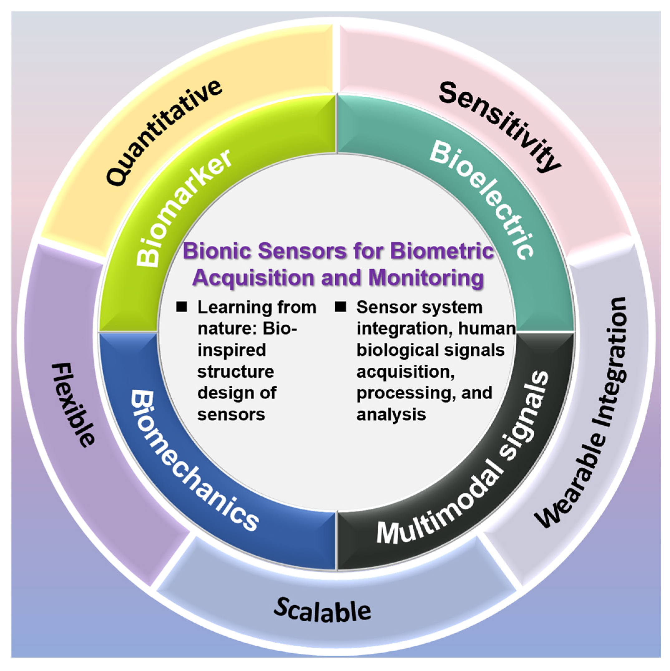 Sensors 25 03981 g001