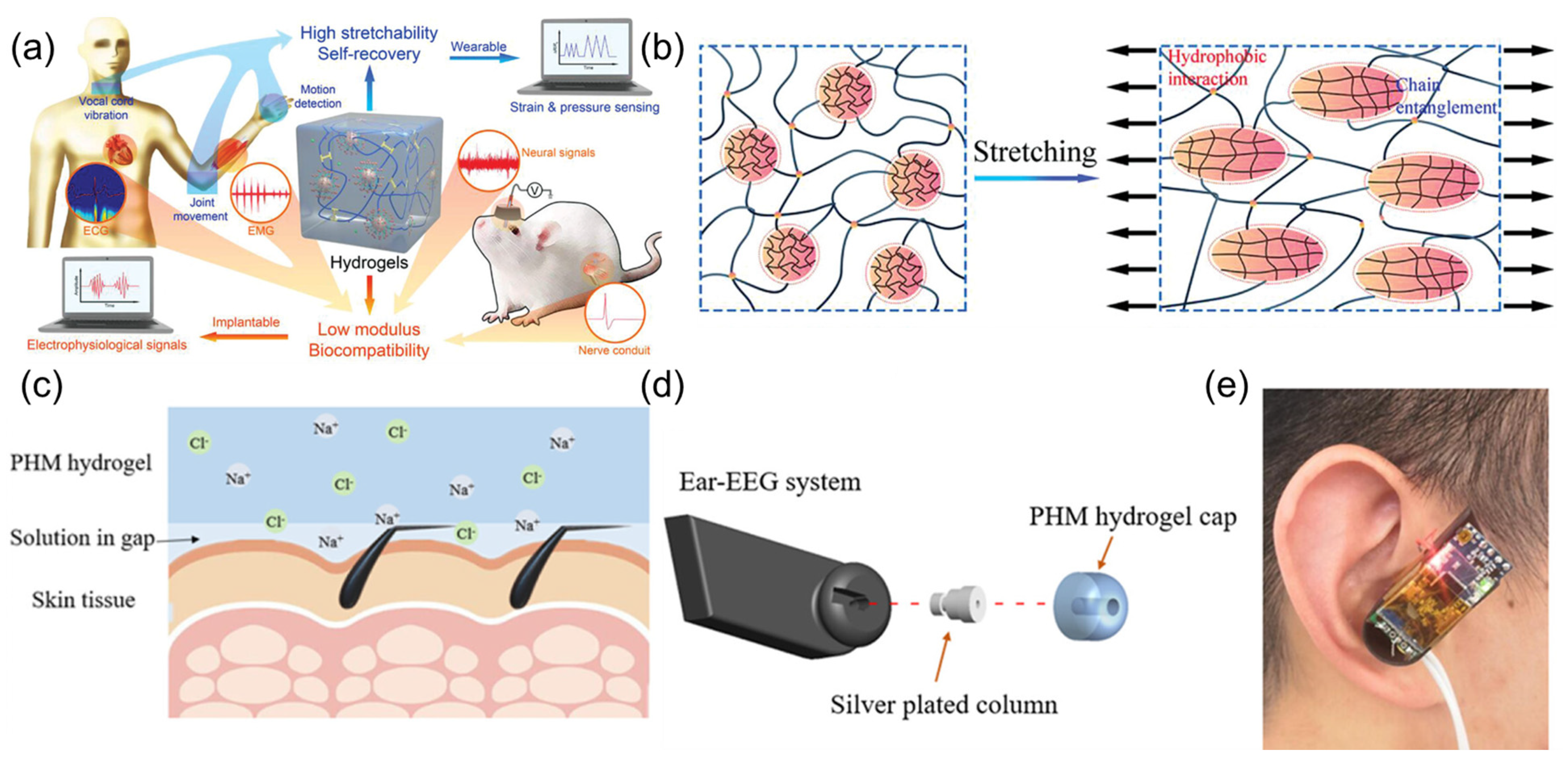 Sensors 25 03981 g005