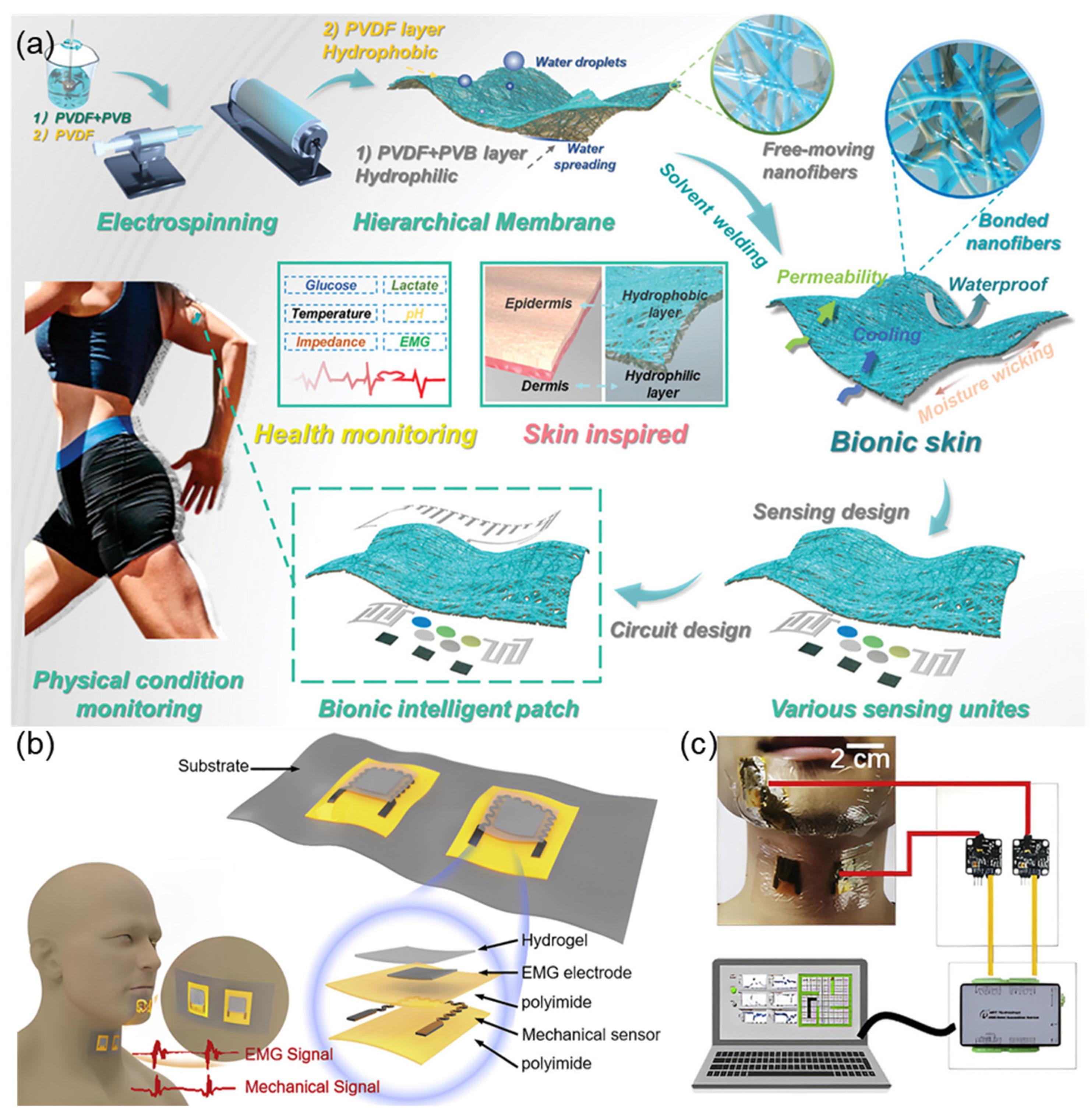 Sensors 25 03981 g006