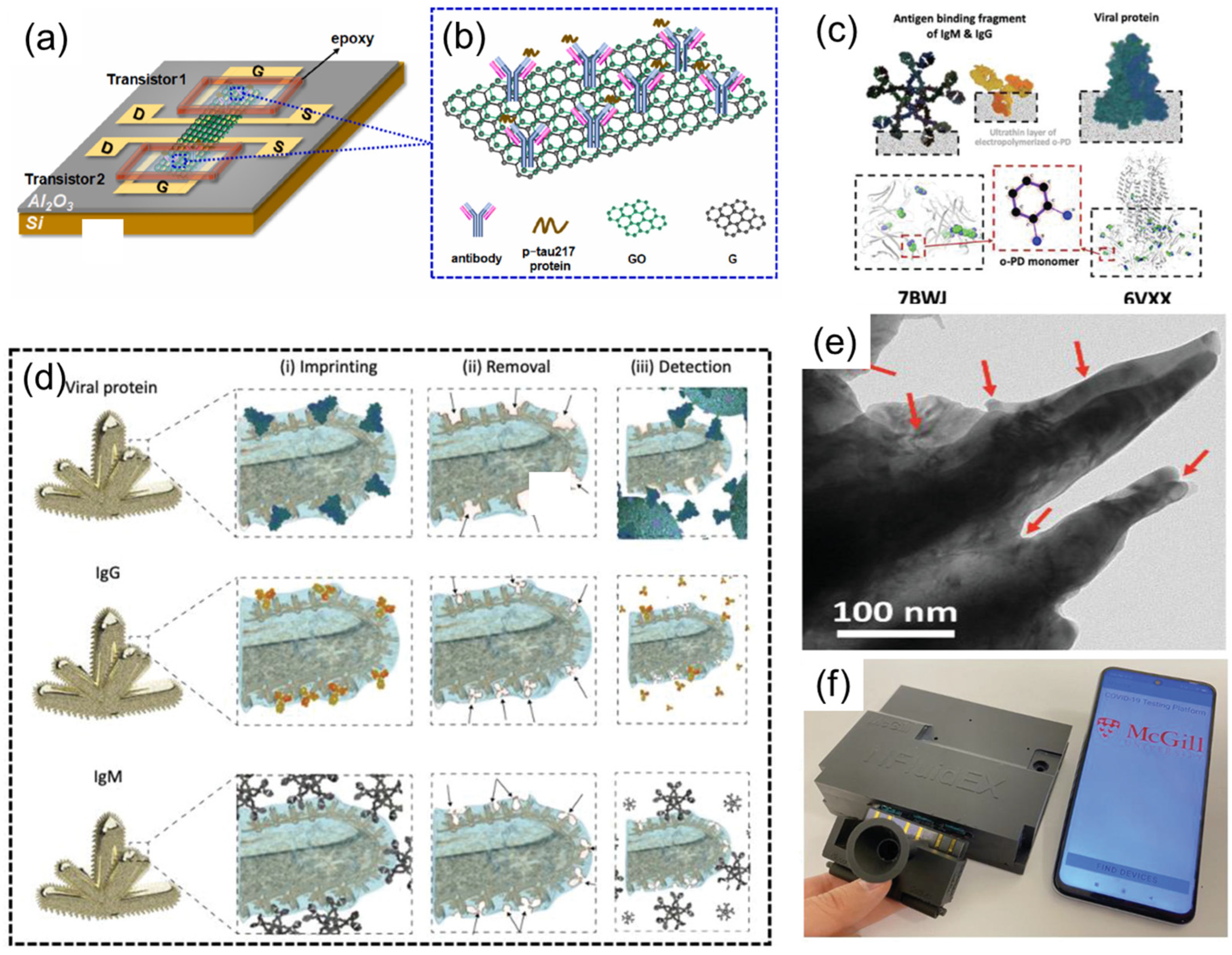 Sensors 25 03981 g009