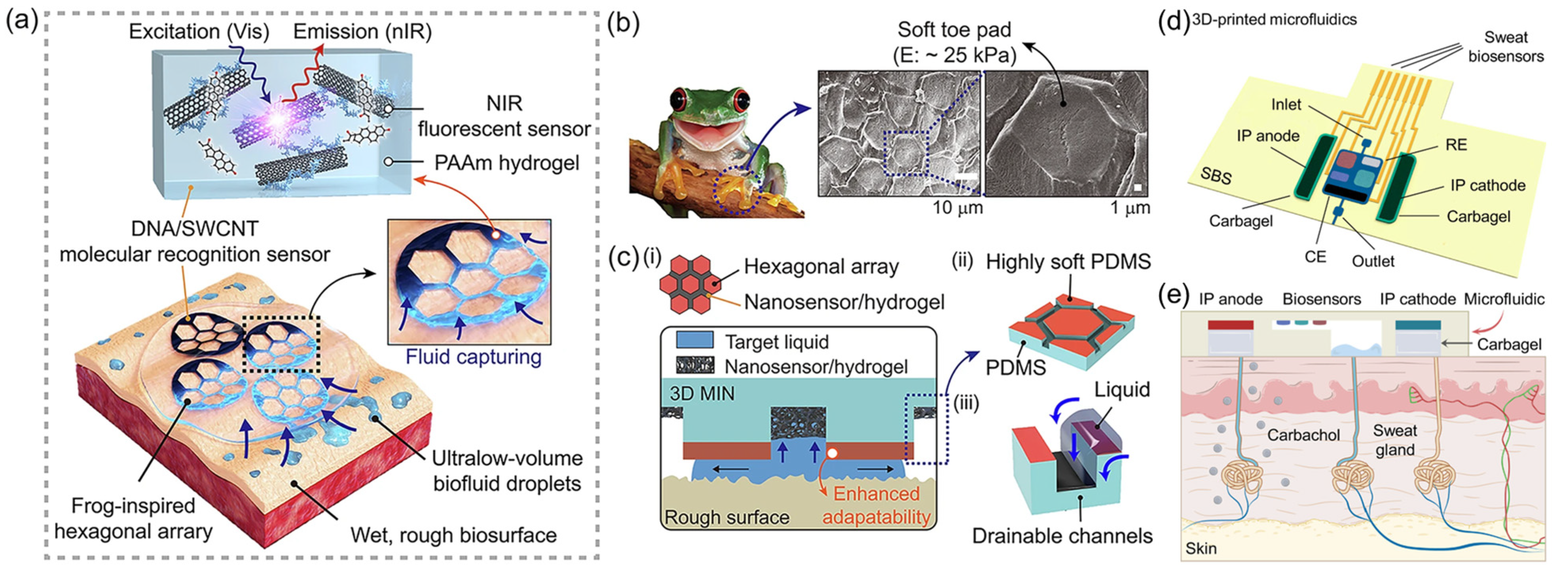 Sensors 25 03981 g010
