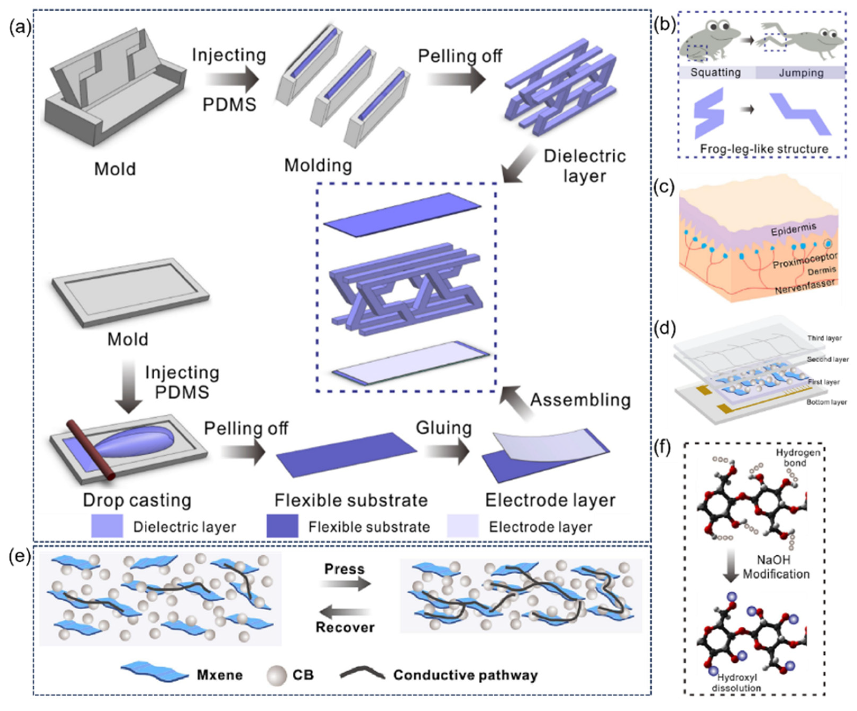 Sensors 25 03981 g012