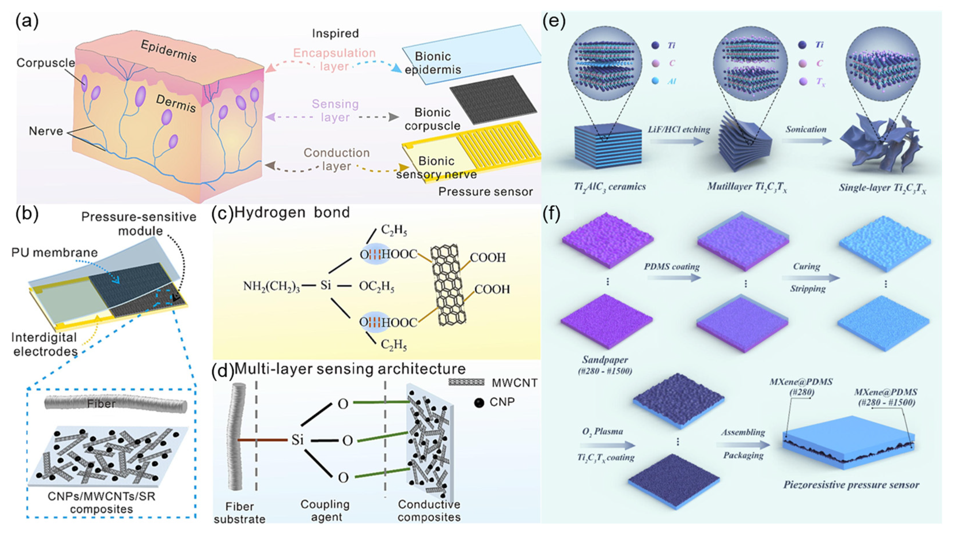 Sensors 25 03981 g013