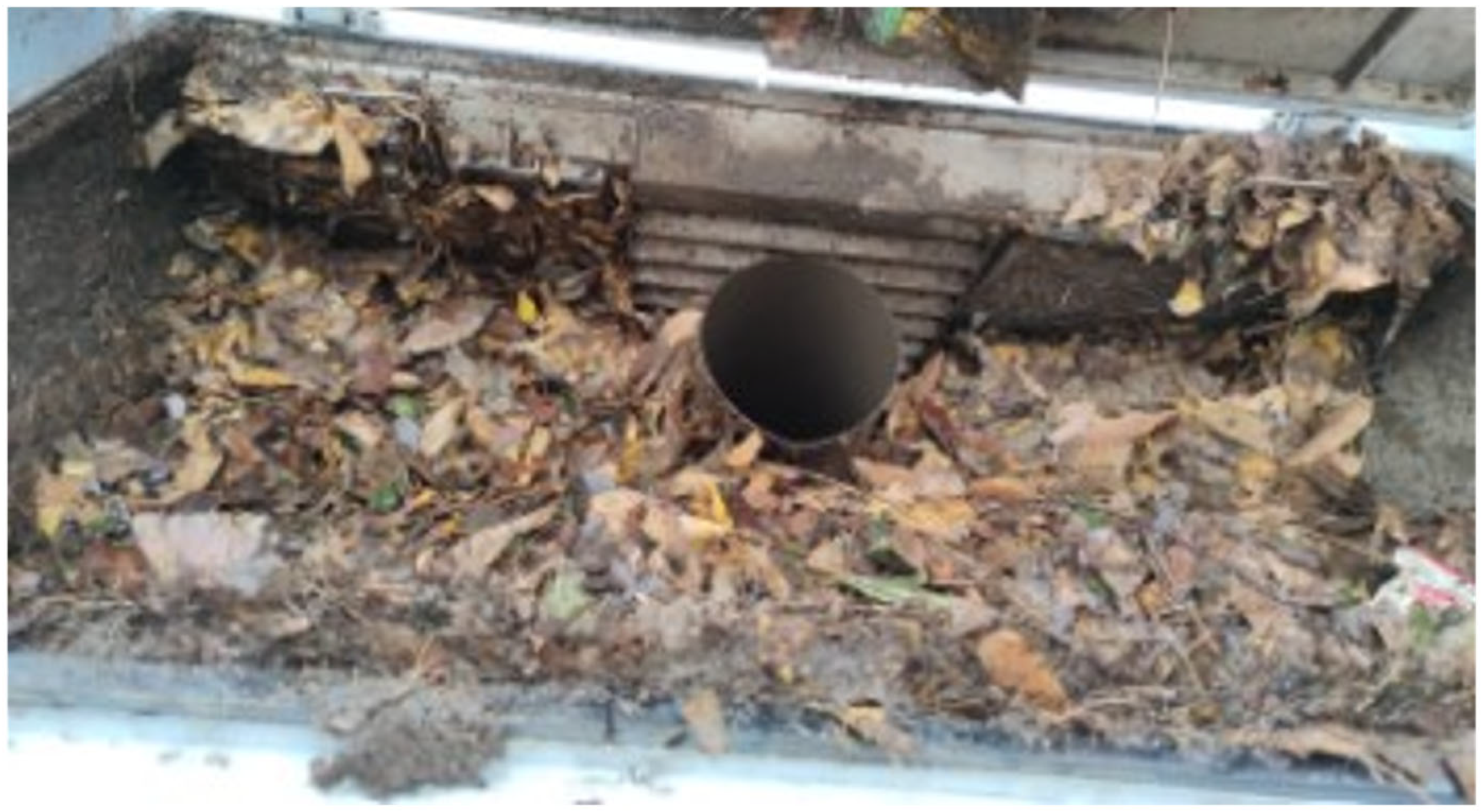 Sensors 25 04010 g007 Sensors 25 04010 g007