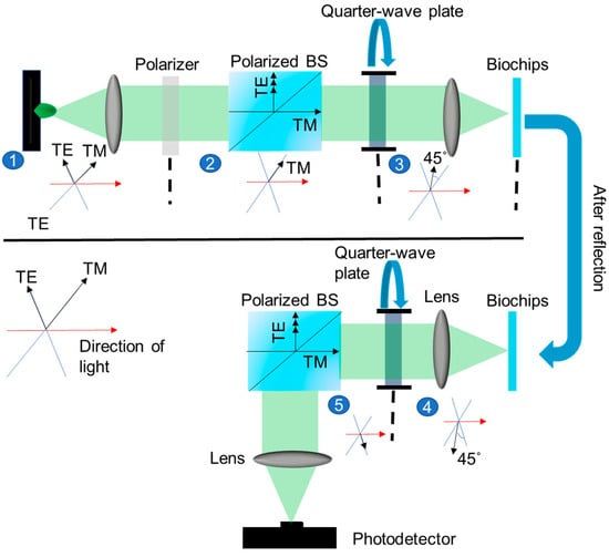 Sensors 25 04019 g004