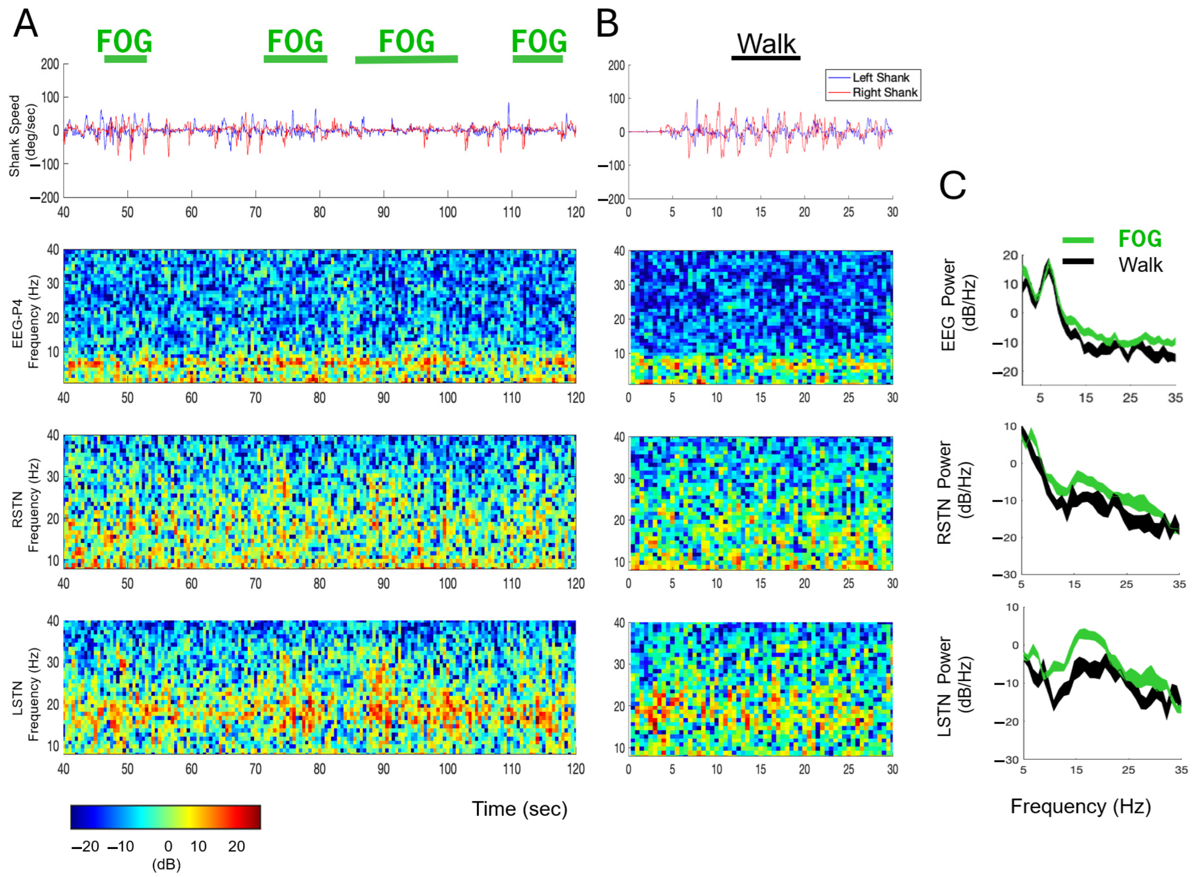 Sensors 25 04036 g005