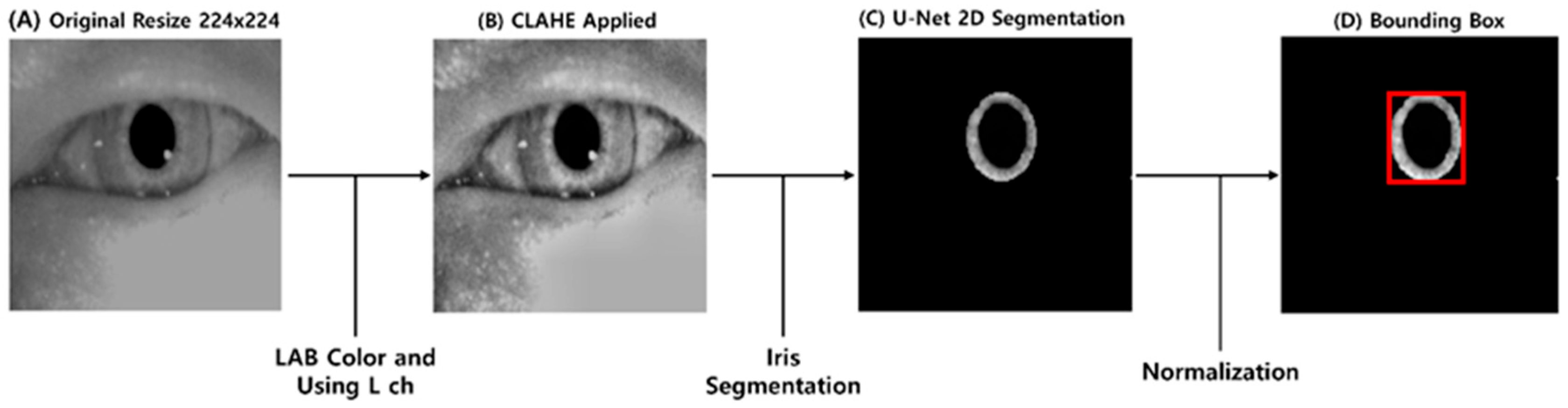 Sensors 25 04039 g001