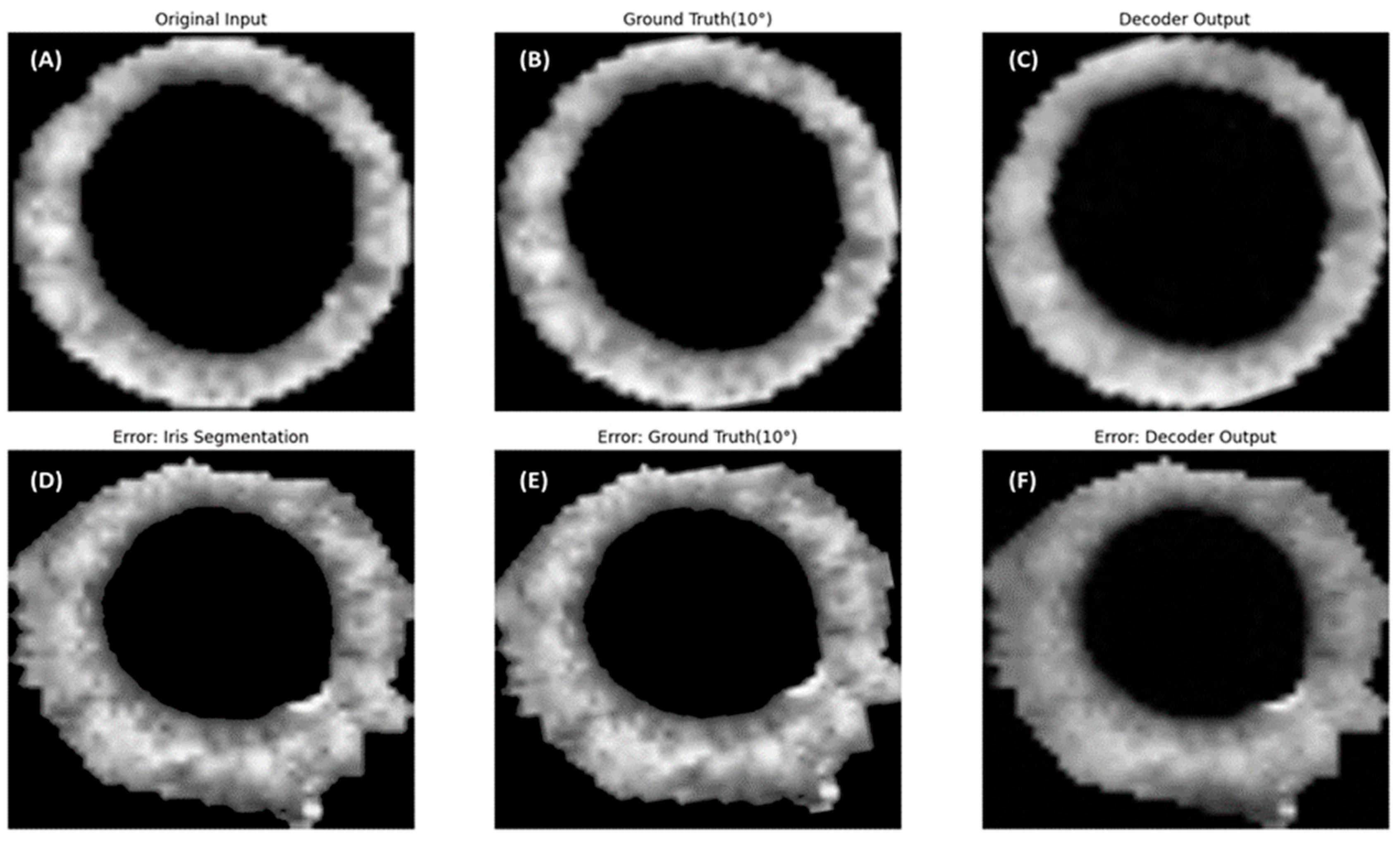 Sensors 25 04039 g005