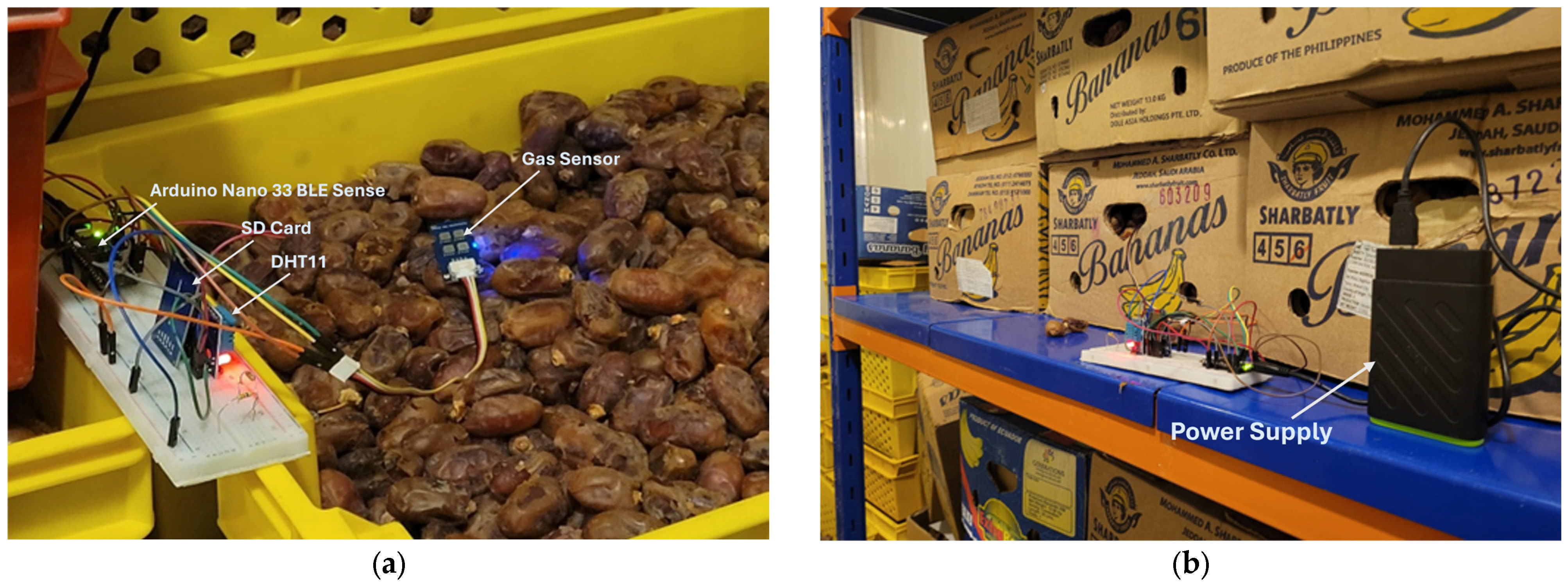 Sensors 25 04063 g003