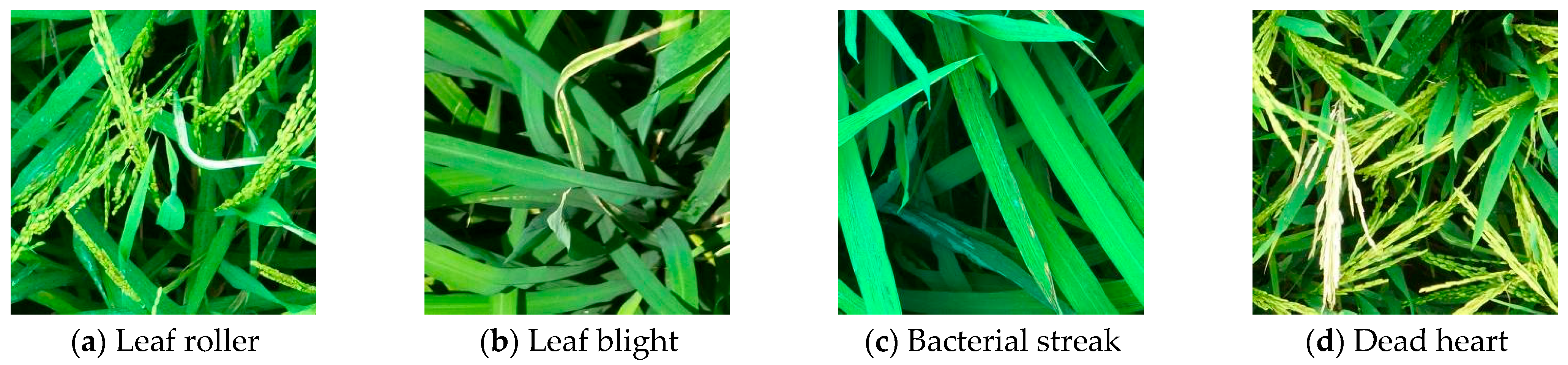 Sensors 25 04072 g001