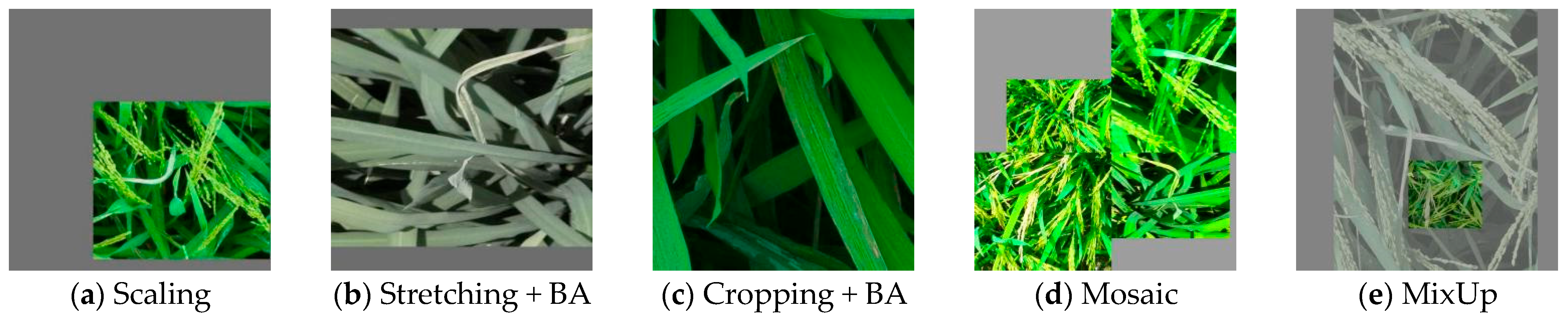 Sensors 25 04072 g002