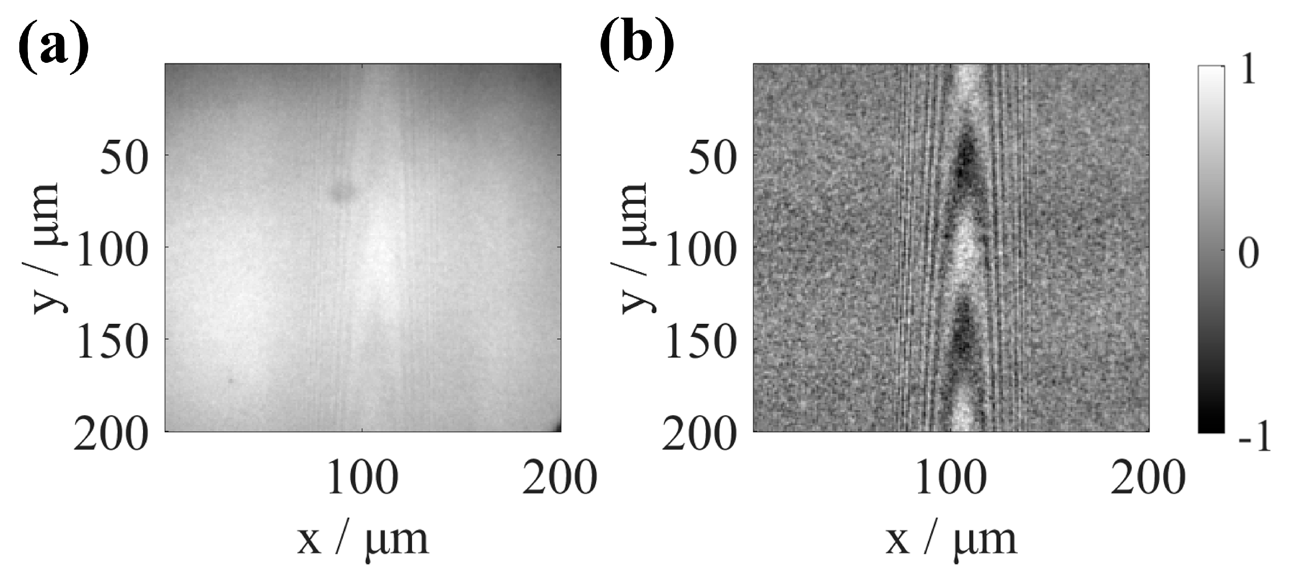 Sensors 25 04085 g007