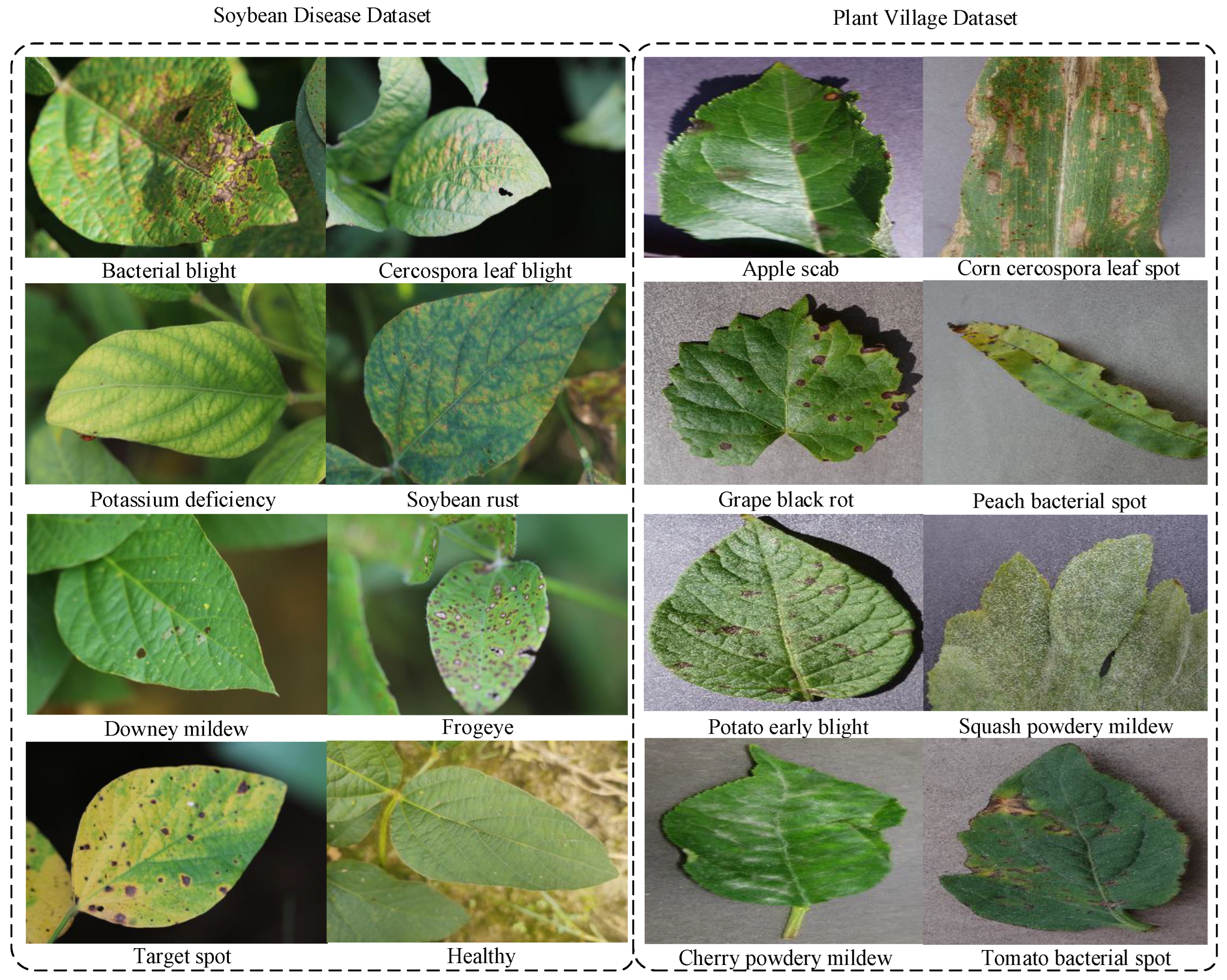 Sensors 25 04096 g003