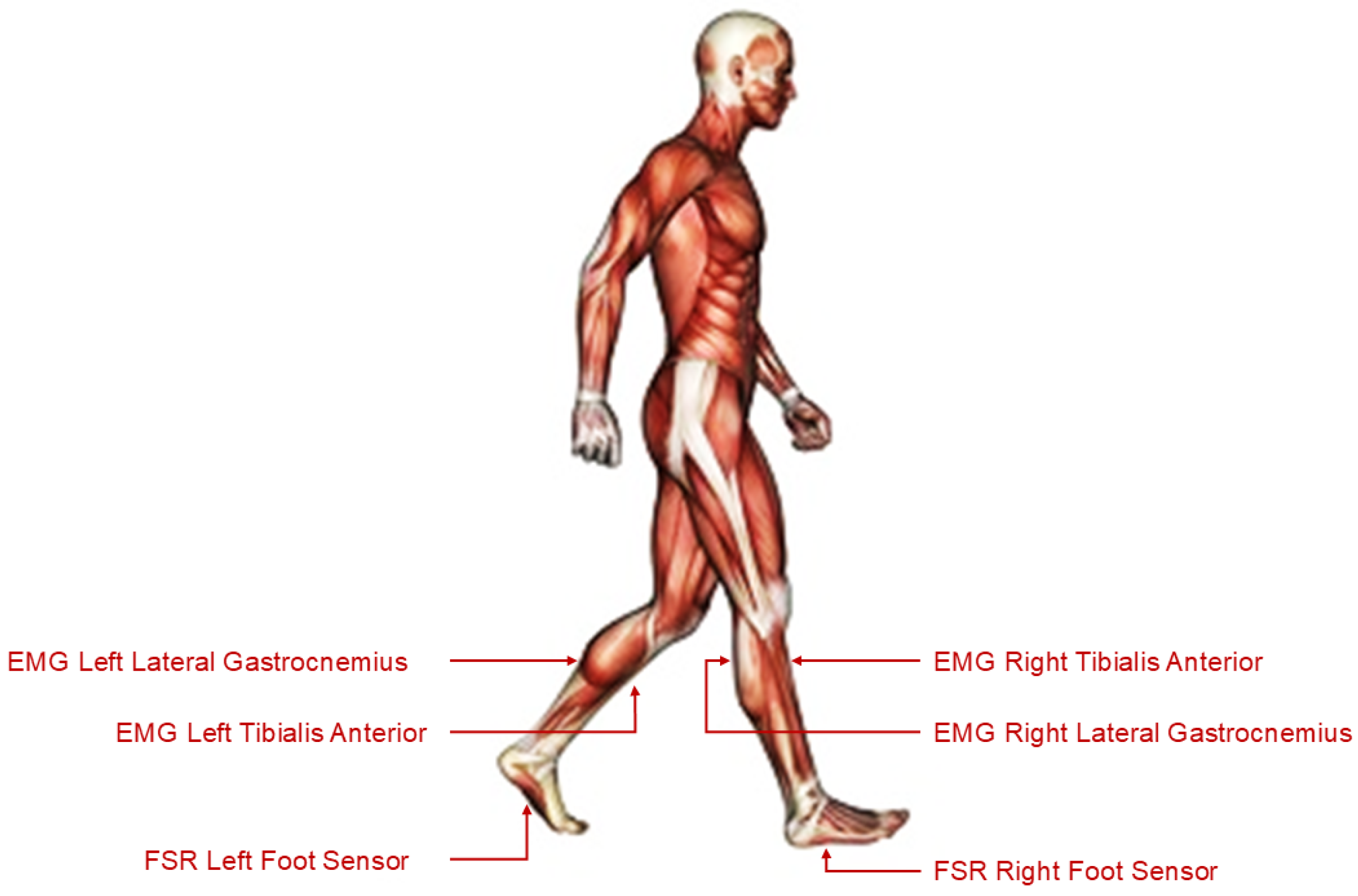 Sensors 25 04122 g002