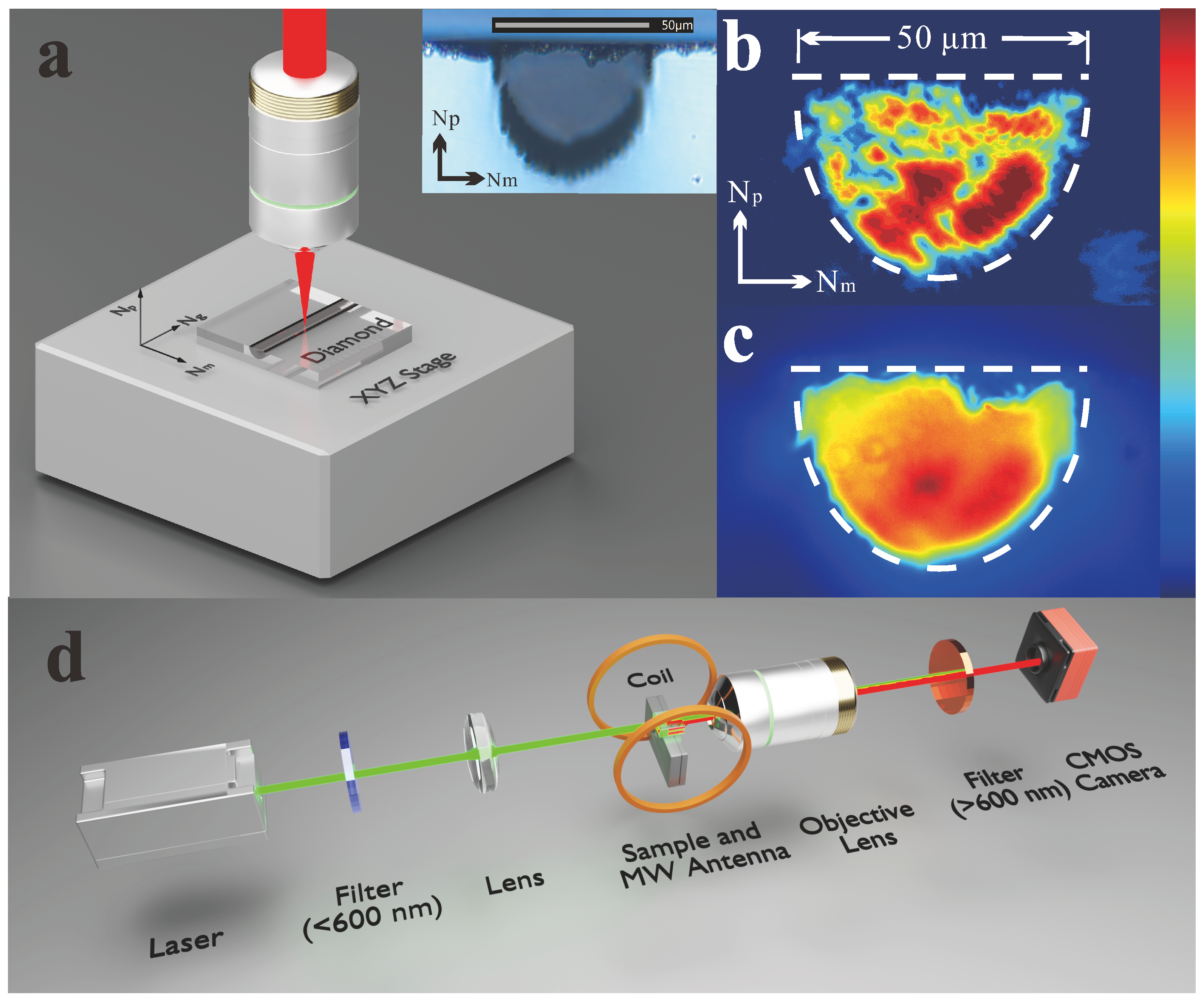 Sensors 25 04123 g001 Sensors 25 04123 g001