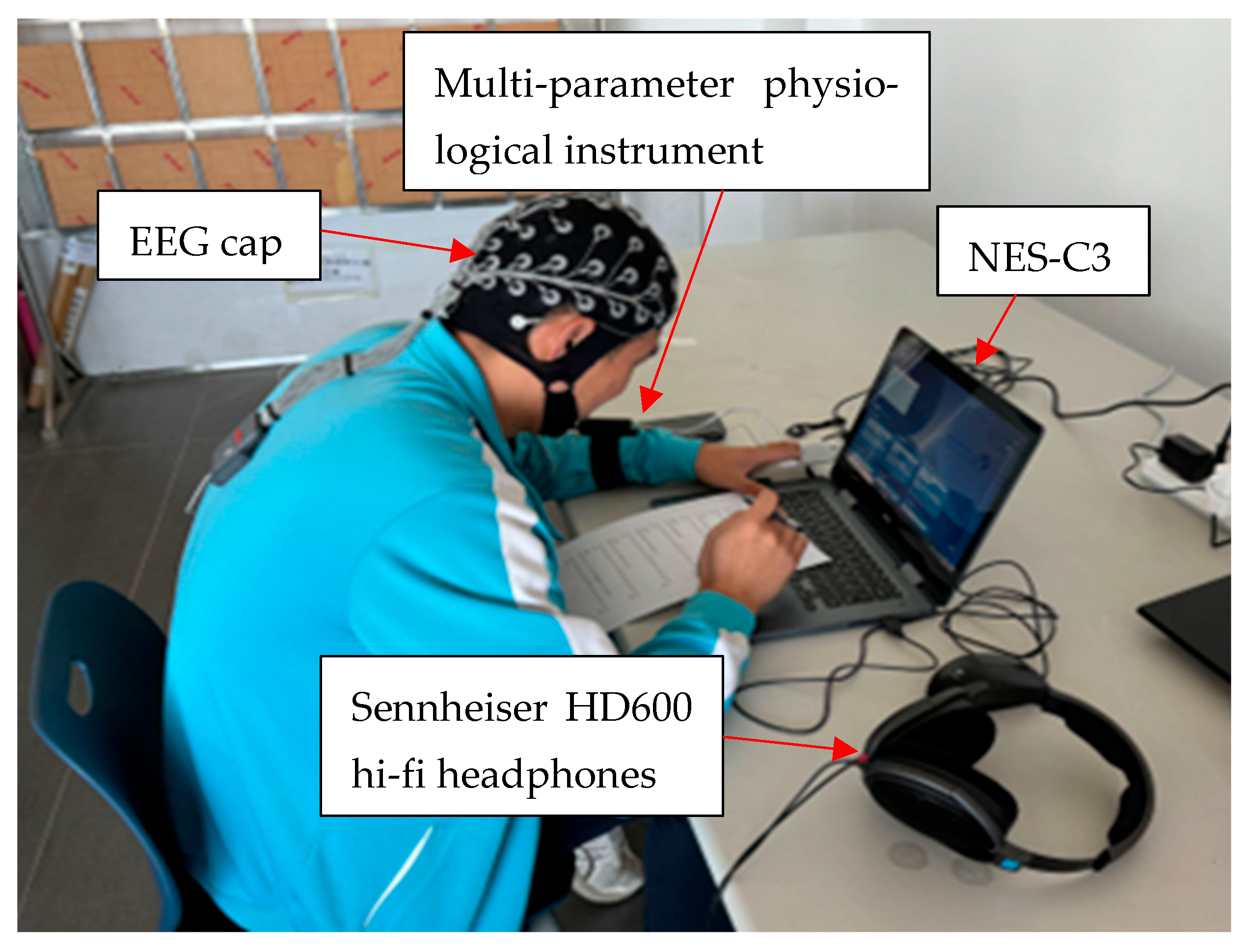 Sensors 25 04175 g001