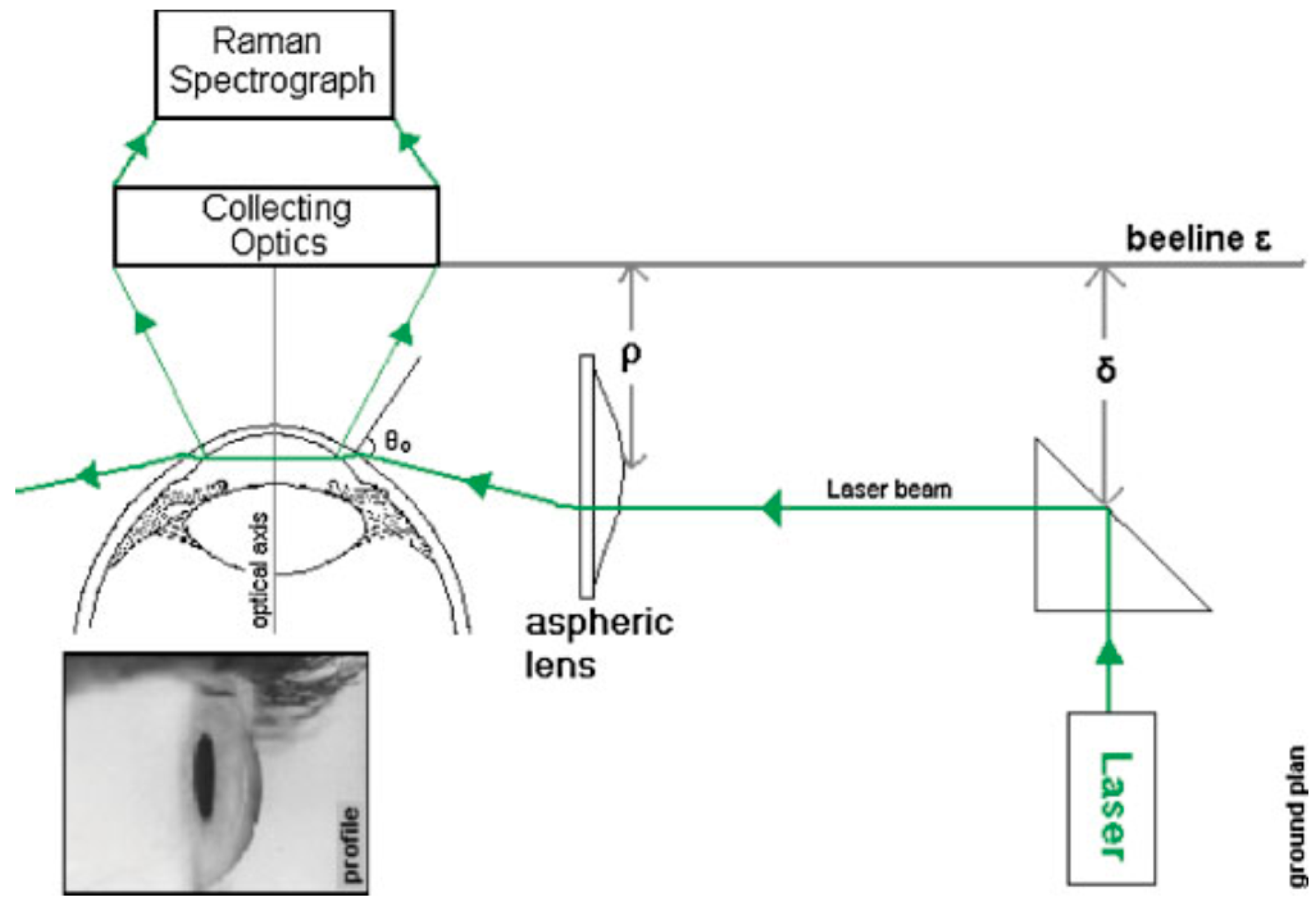Sensors 25 04236 g004