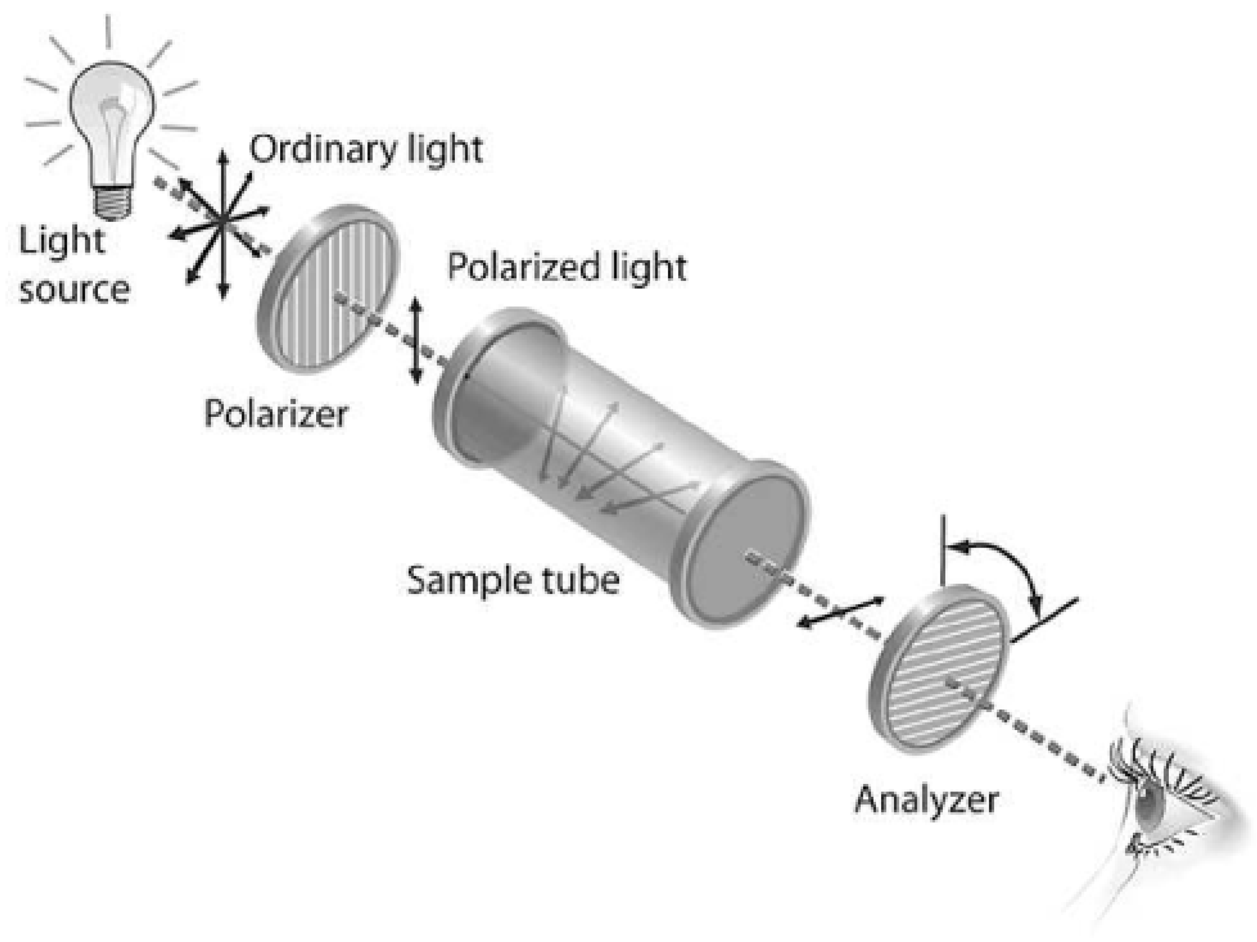 Sensors 25 04236 g007