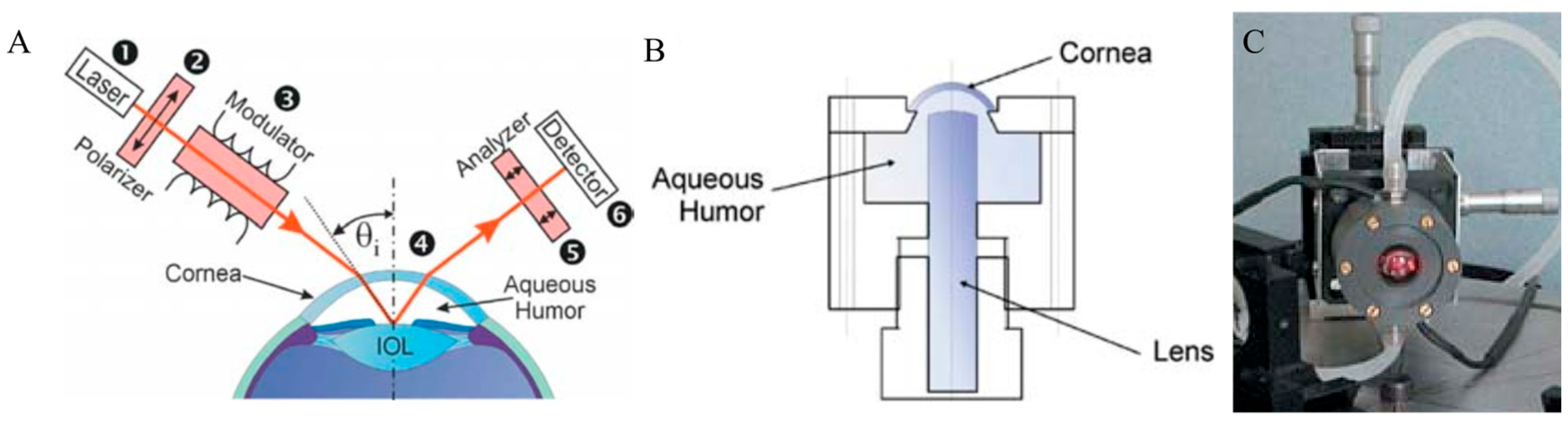Sensors 25 04236 g008