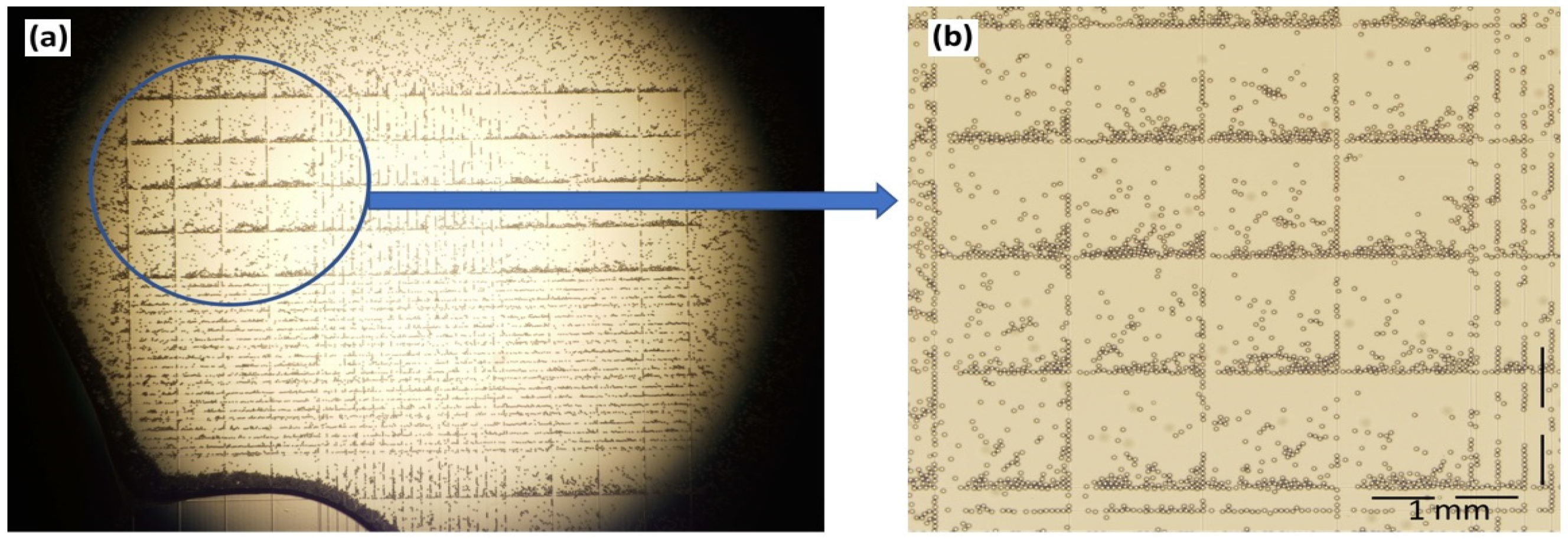 Sensors 25 04278 g003
