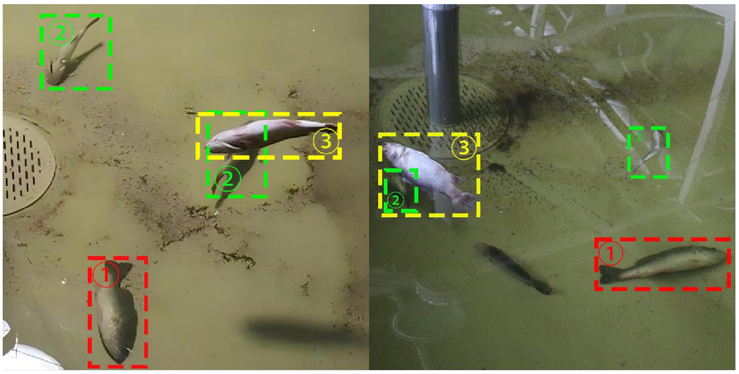 Sensors 25 04318 g006