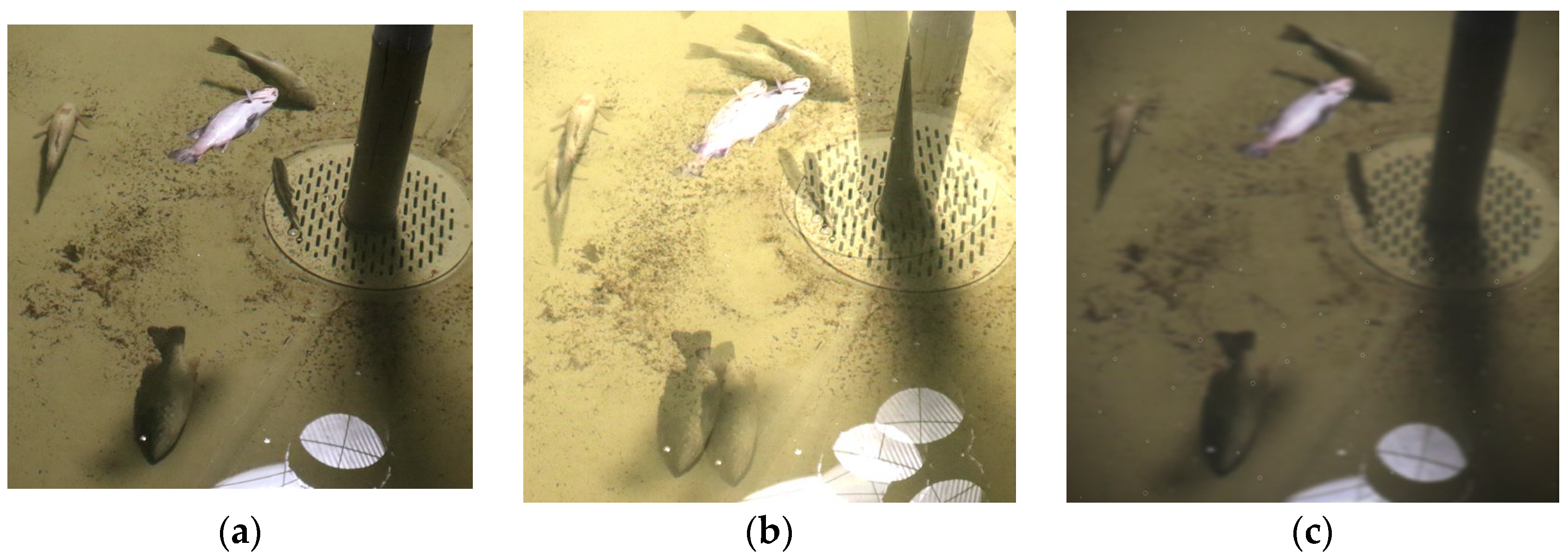 Sensors 25 04318 g007