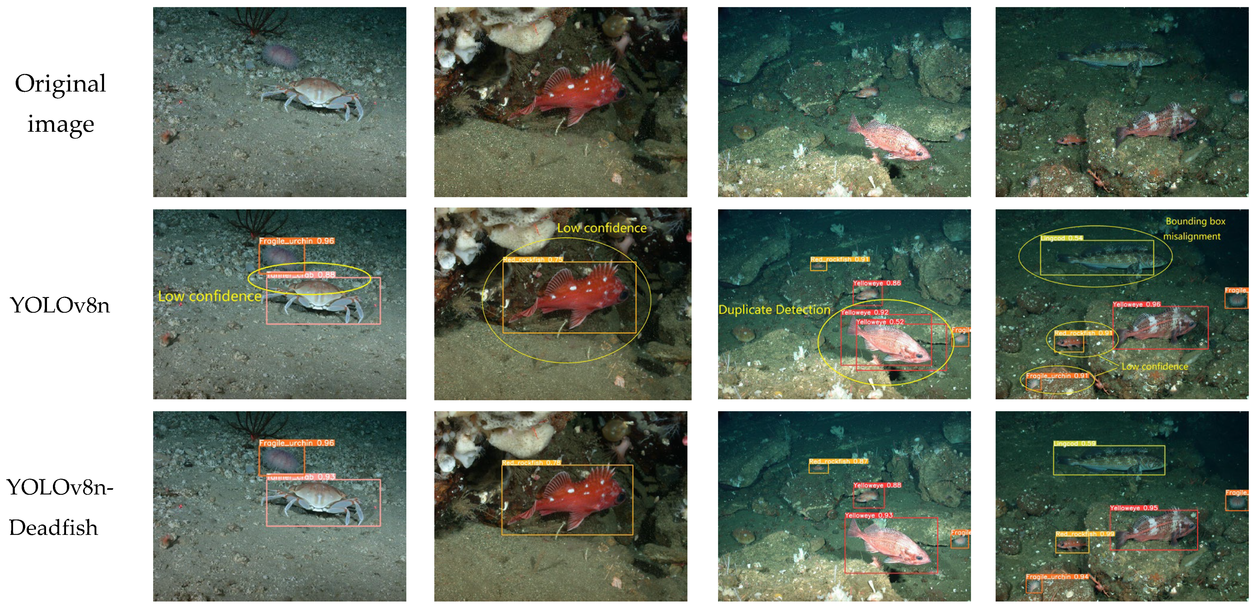 Sensors 25 04318 g013