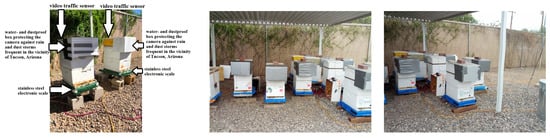 Sensors 25 04319 g0a1