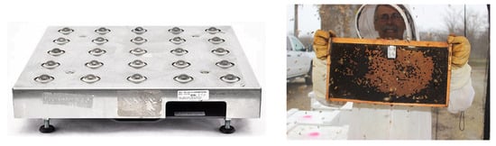 Sensors 25 04319 g0a2