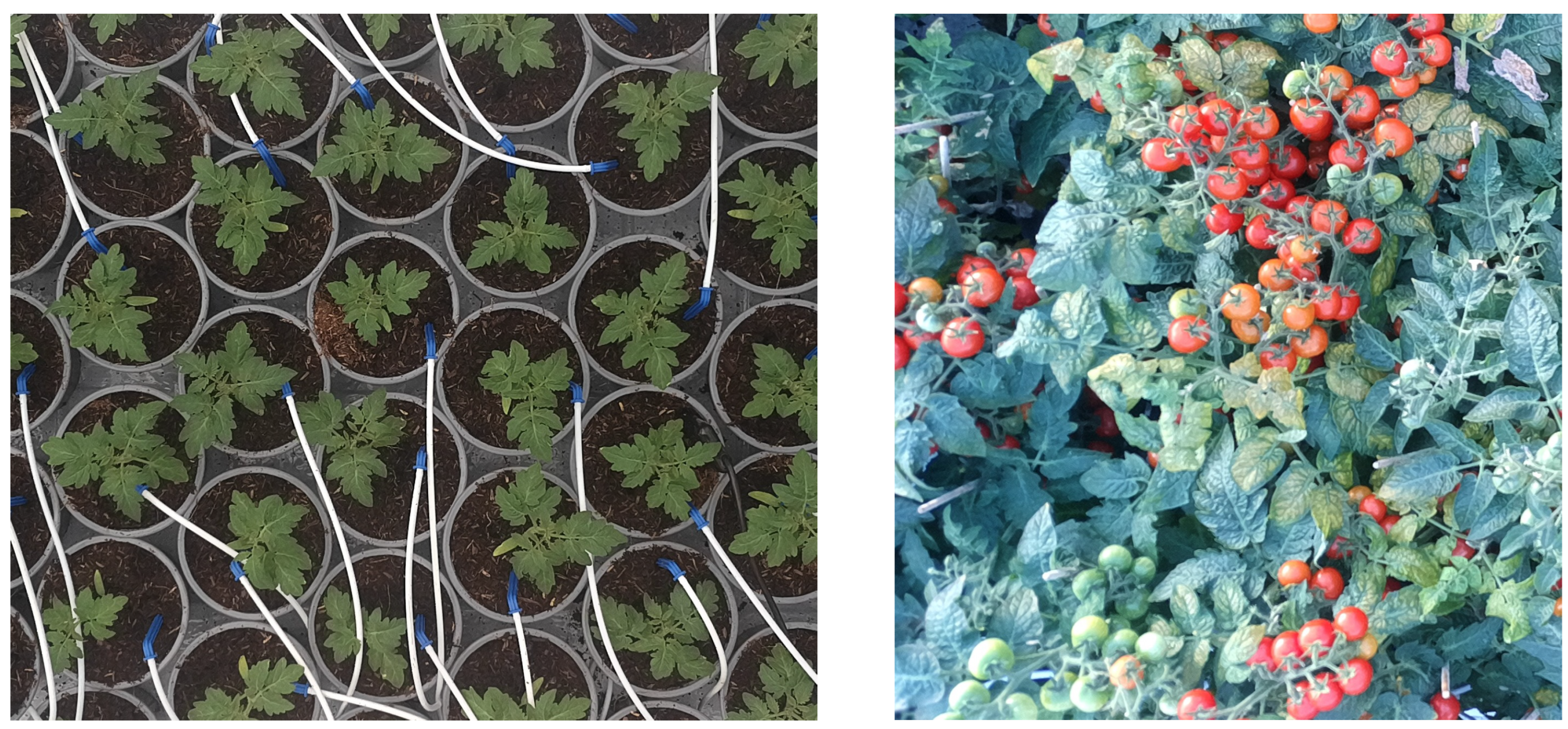 Sensors 25 04321 g010