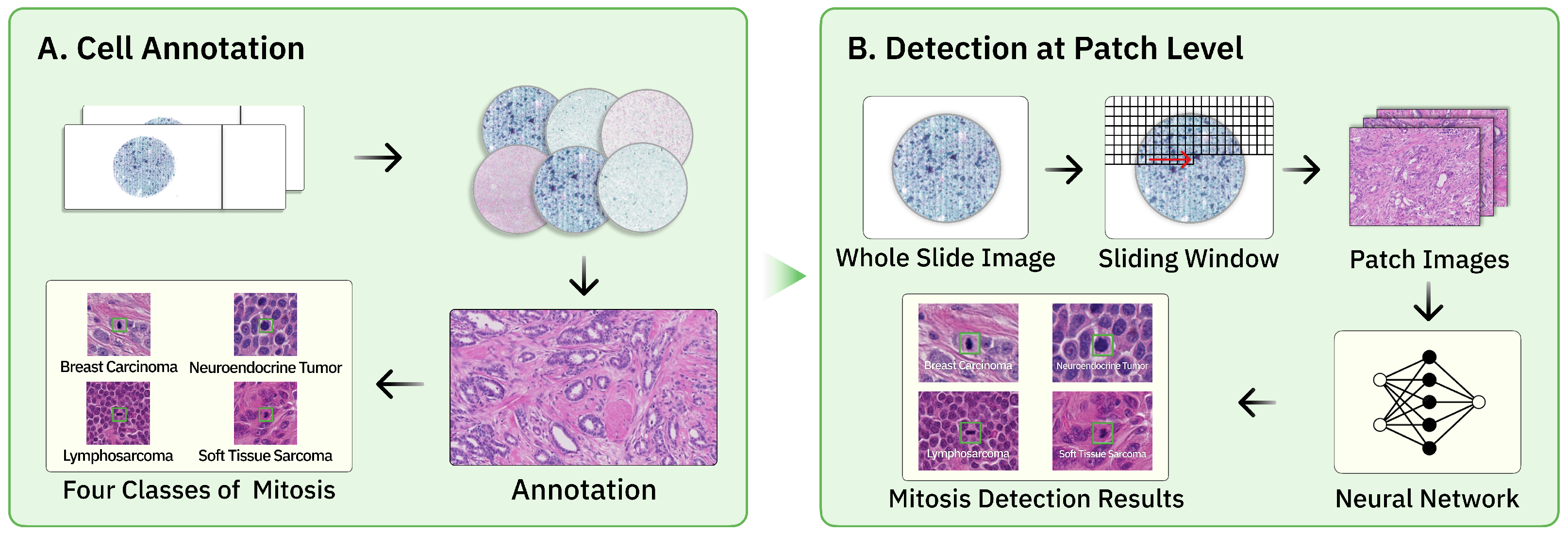 Sensors 25 04359 g001