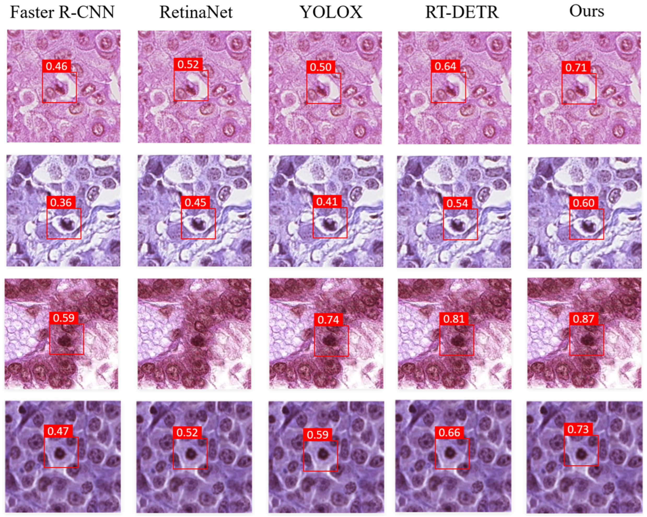 Sensors 25 04359 g008