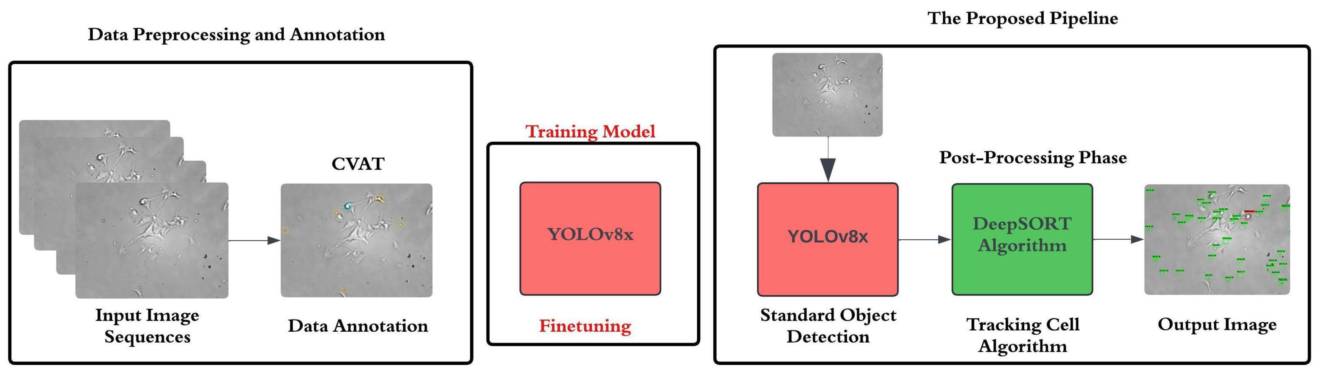 Sensors 25 04361 g001