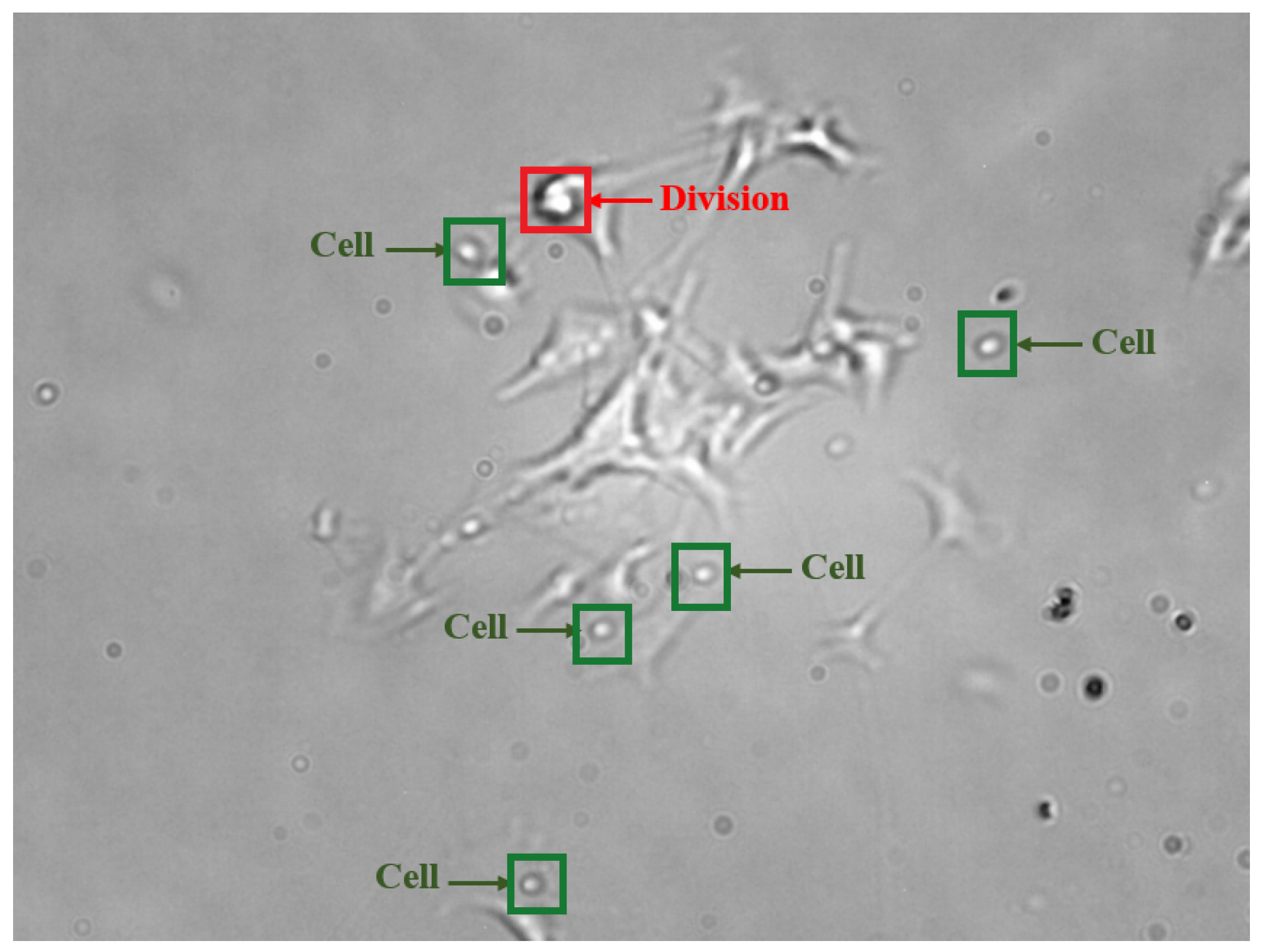 Sensors 25 04361 g002