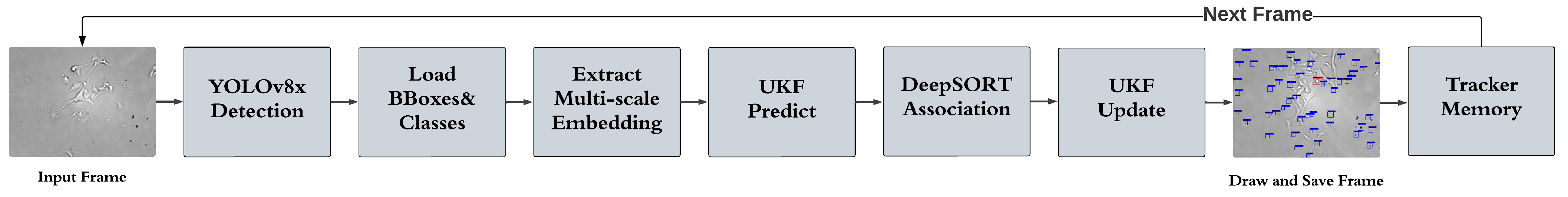 Sensors 25 04361 g003