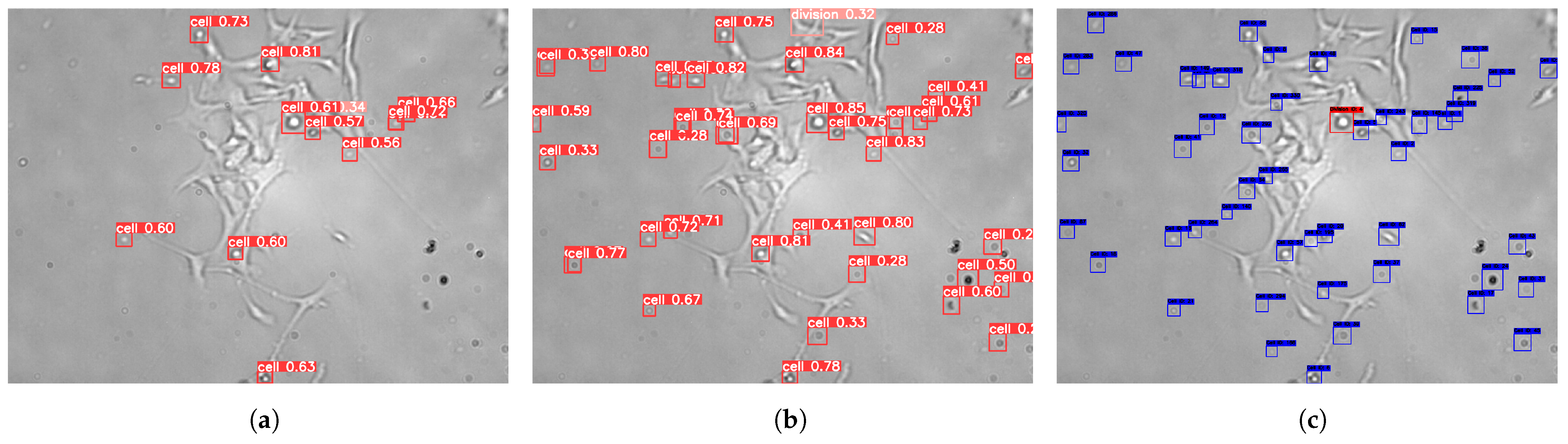 Sensors 25 04361 g004