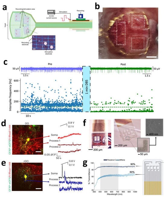 Sensors 25 04412 g001
