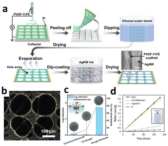 Sensors 25 04412 g002