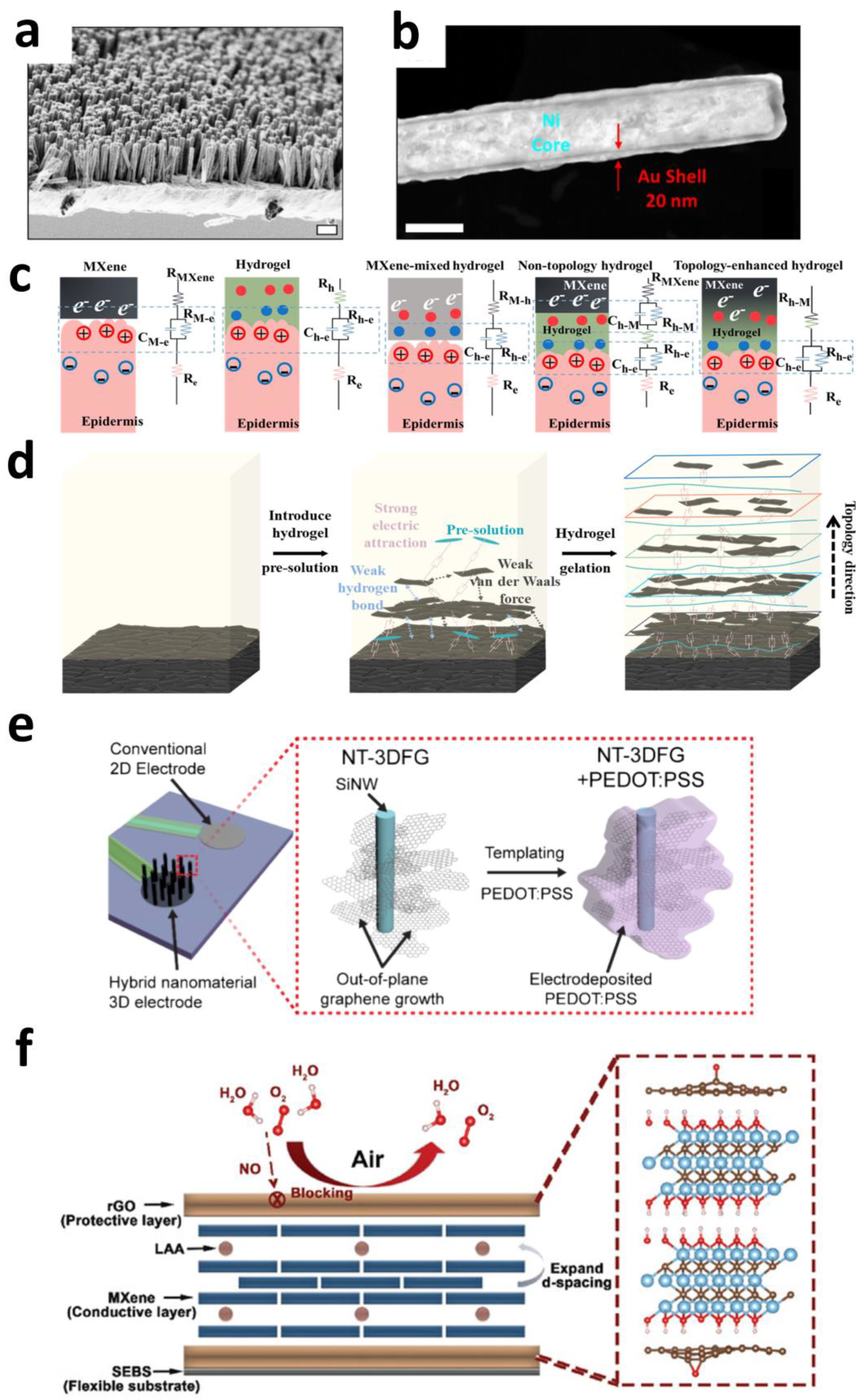 Sensors 25 04412 g007