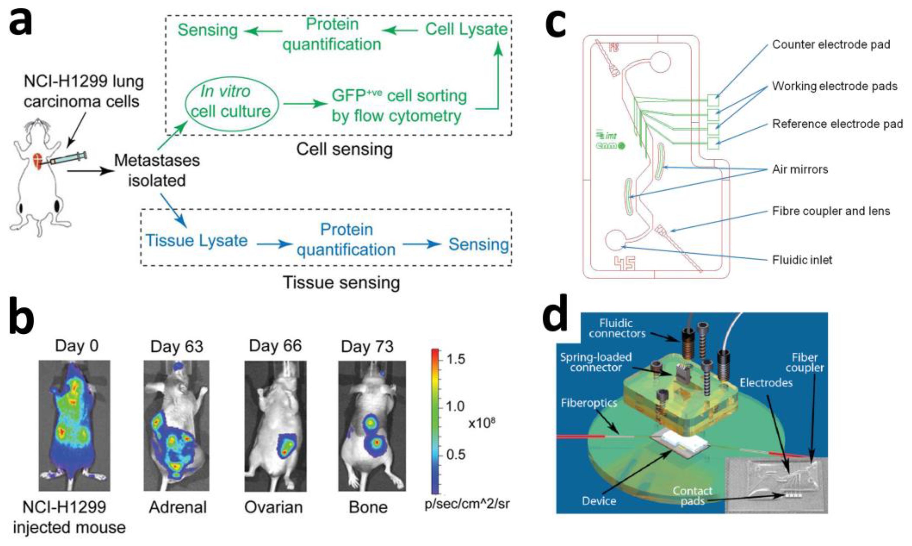 Sensors 25 04412 g008