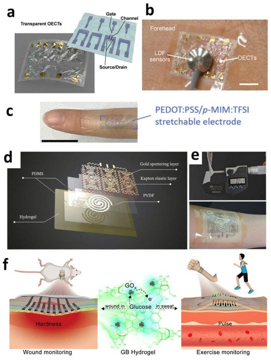 Sensors 25 04412 g010
