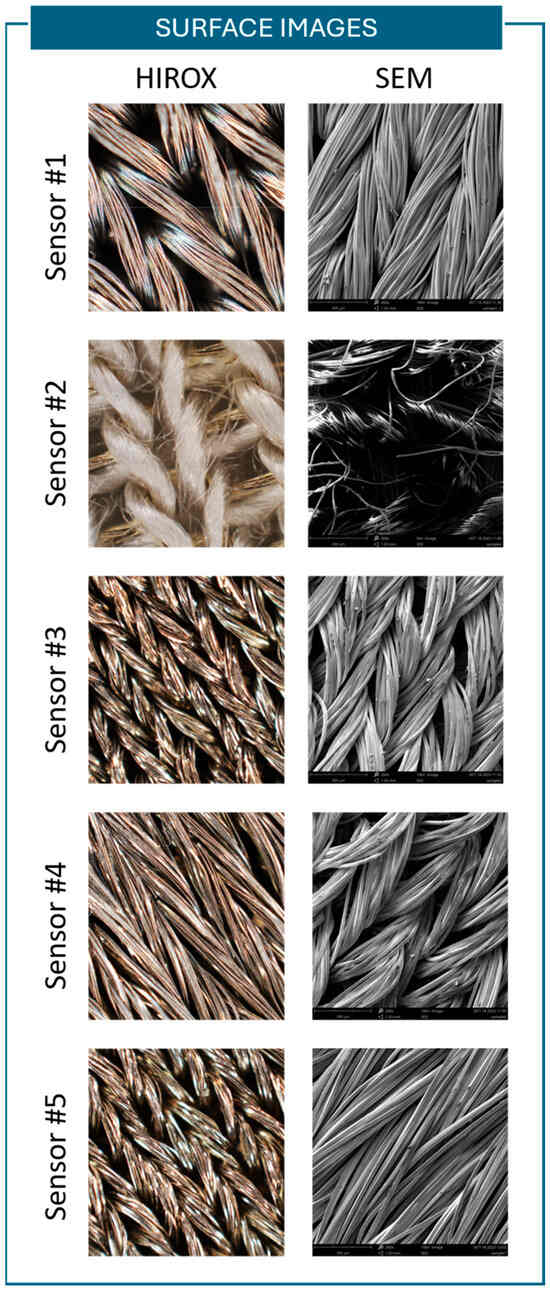 Sensors 25 04448 g0a1