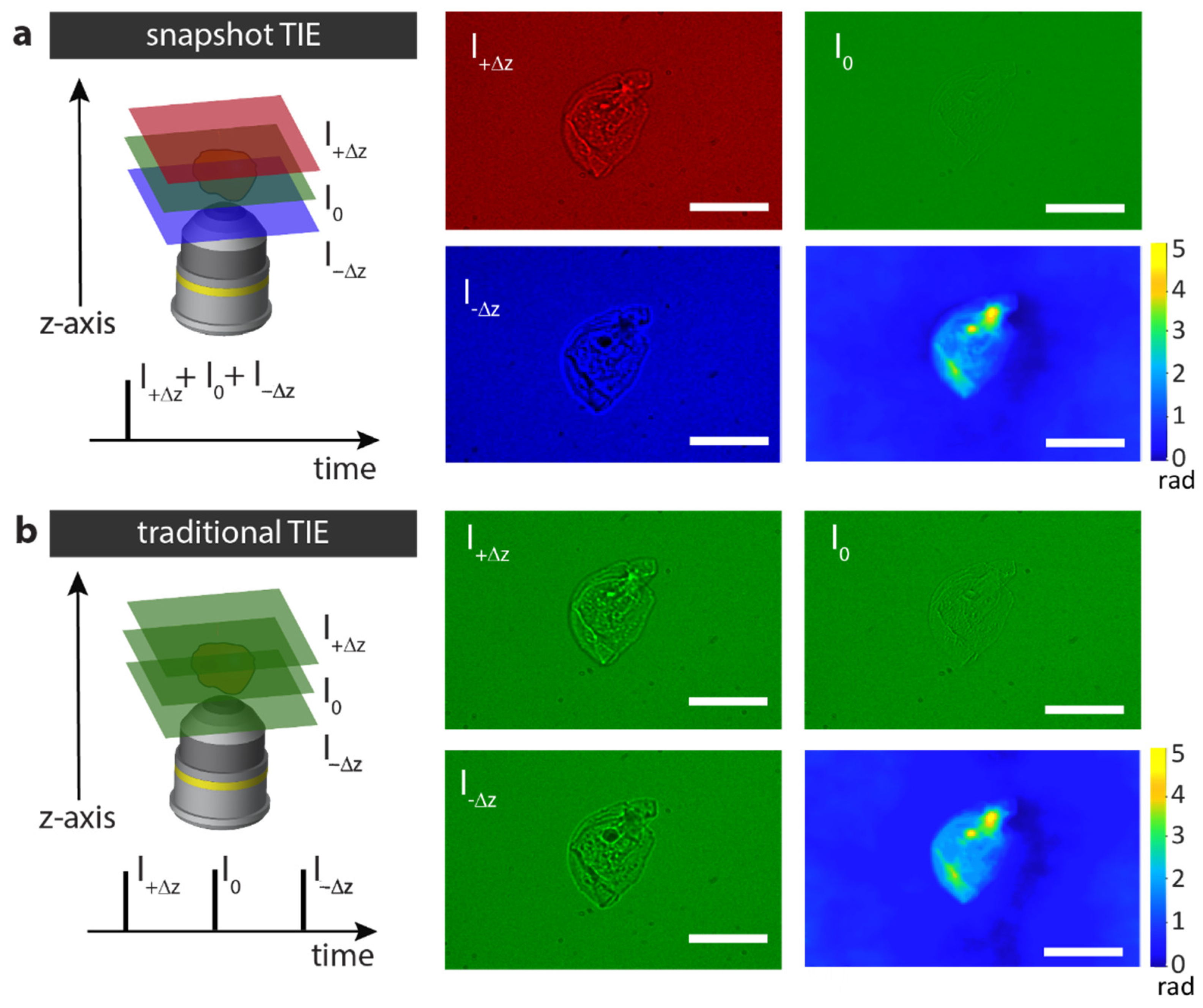 Sensors 25 04503 g002