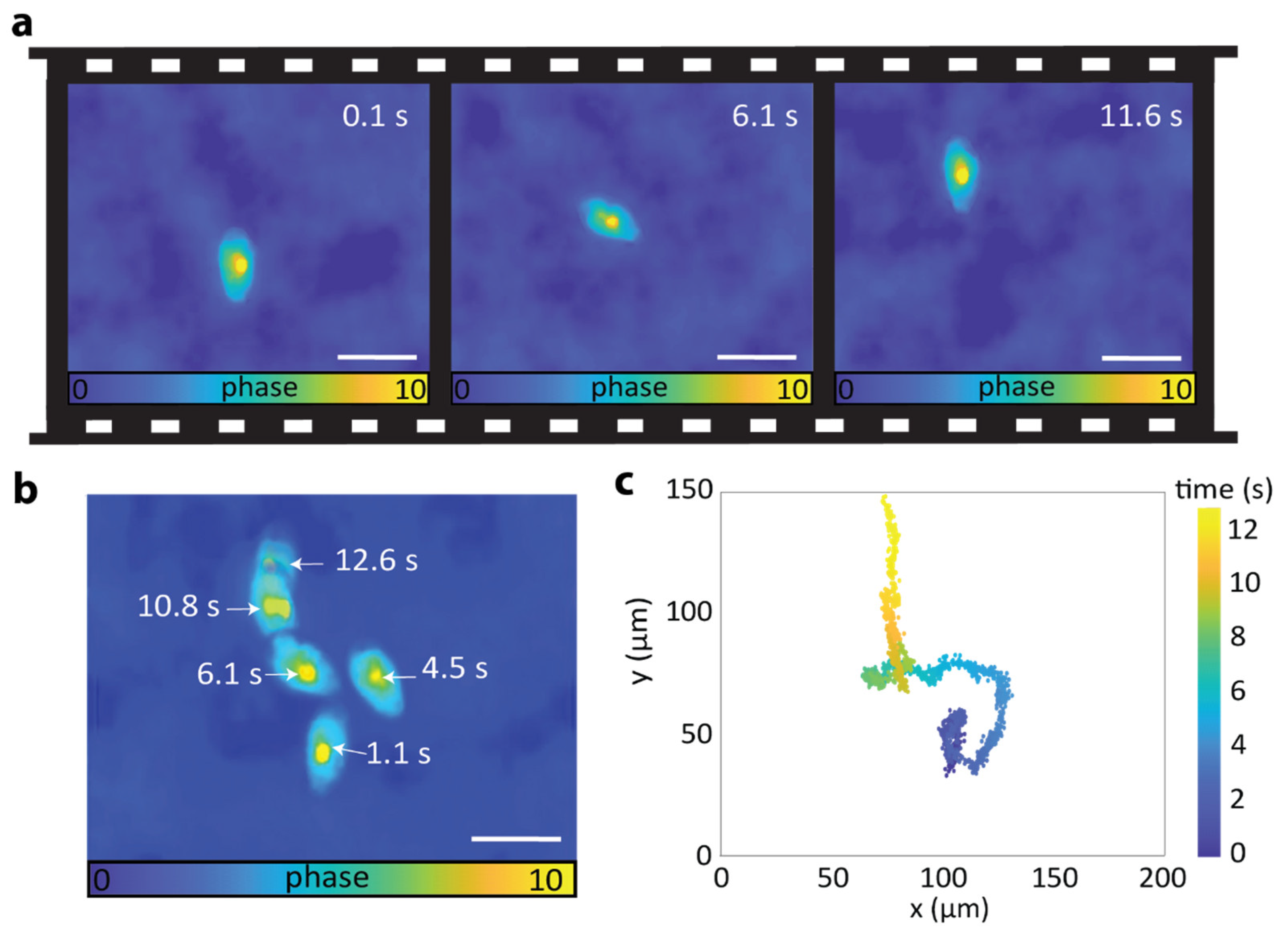 Sensors 25 04503 g003