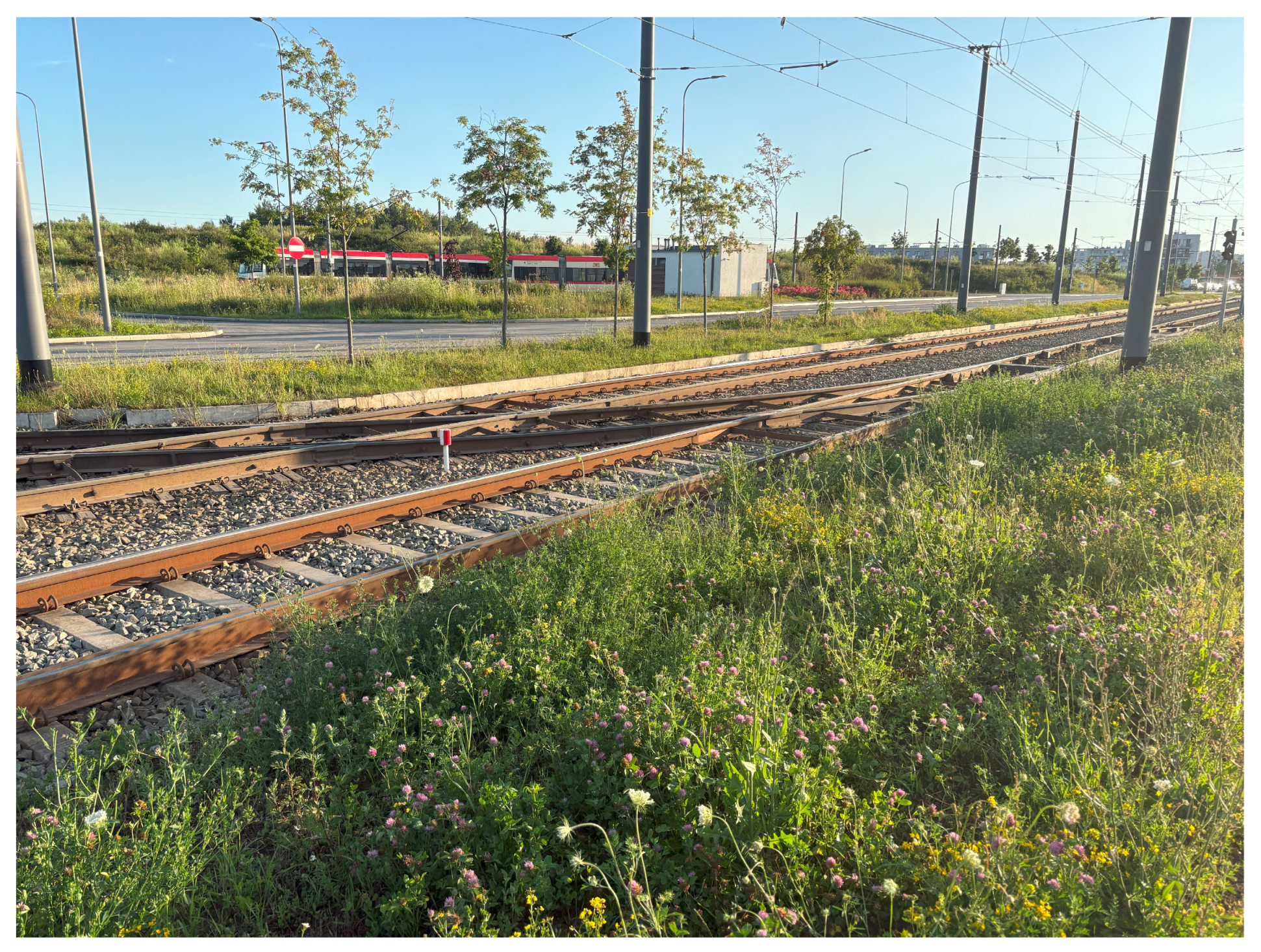 Sensors 25 04635 g025